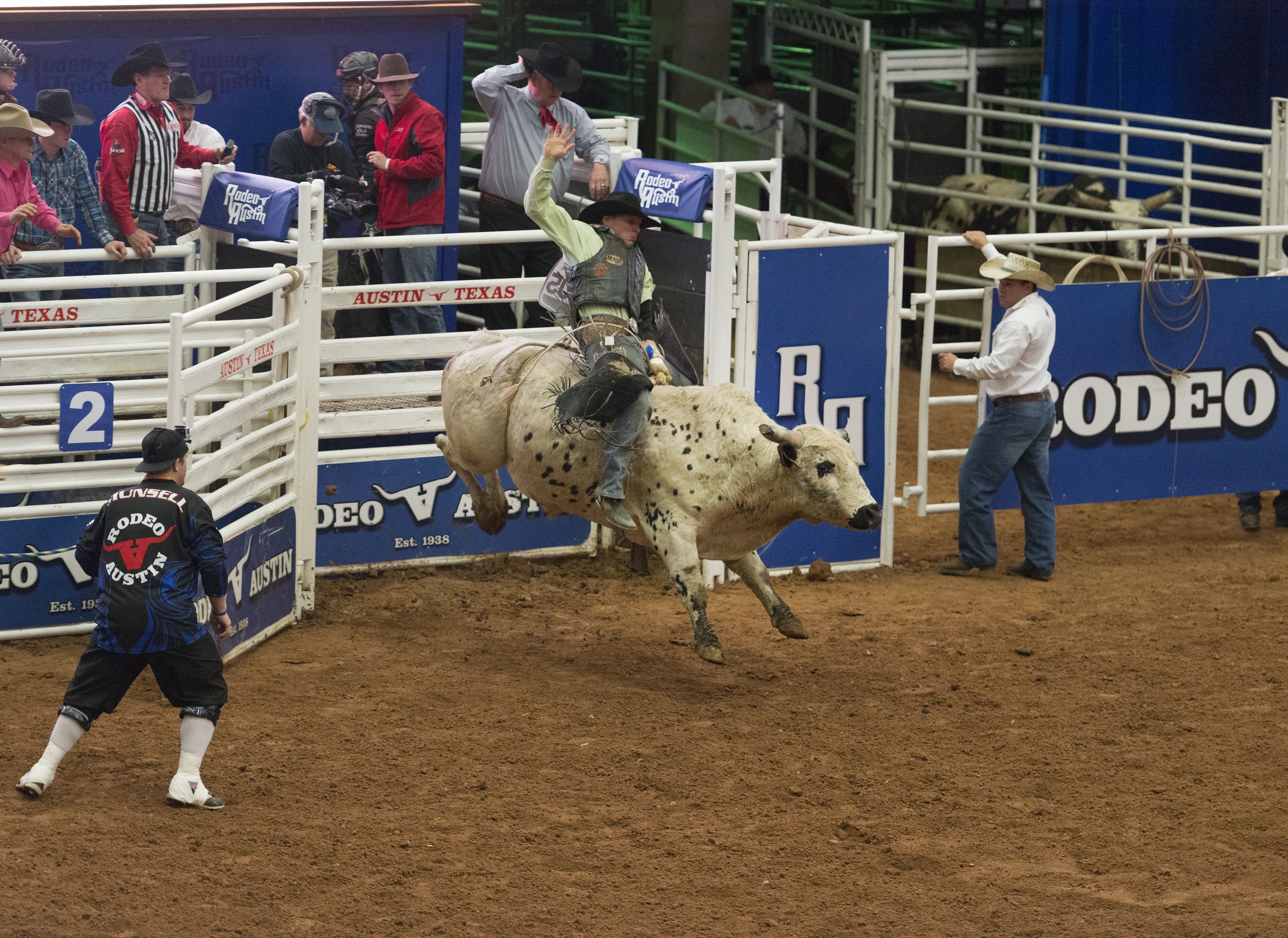 Bull Cowboy Rodeo Sport 3000x2184