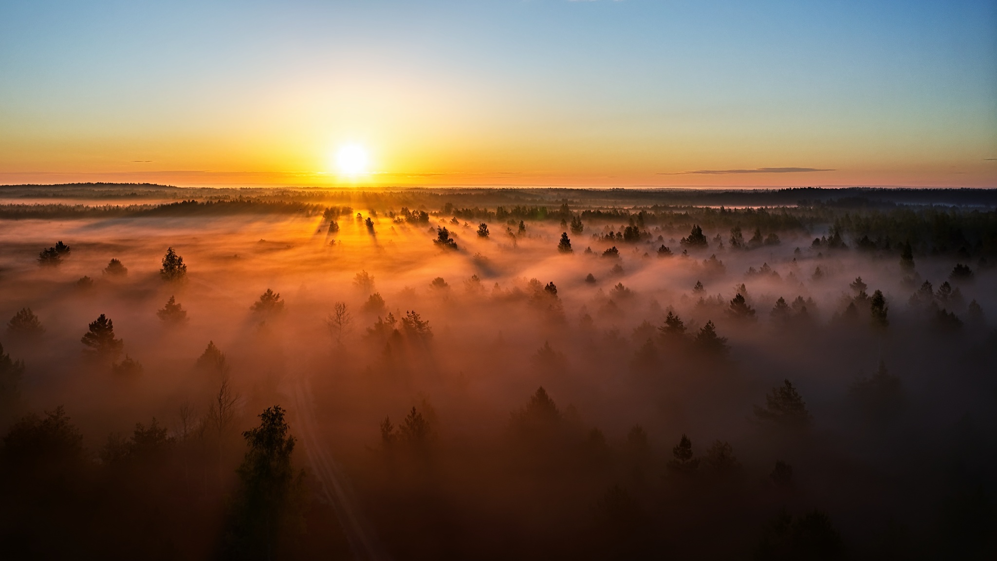 Fog Forest Horizon Lithuania Nature Sunset 2048x1152