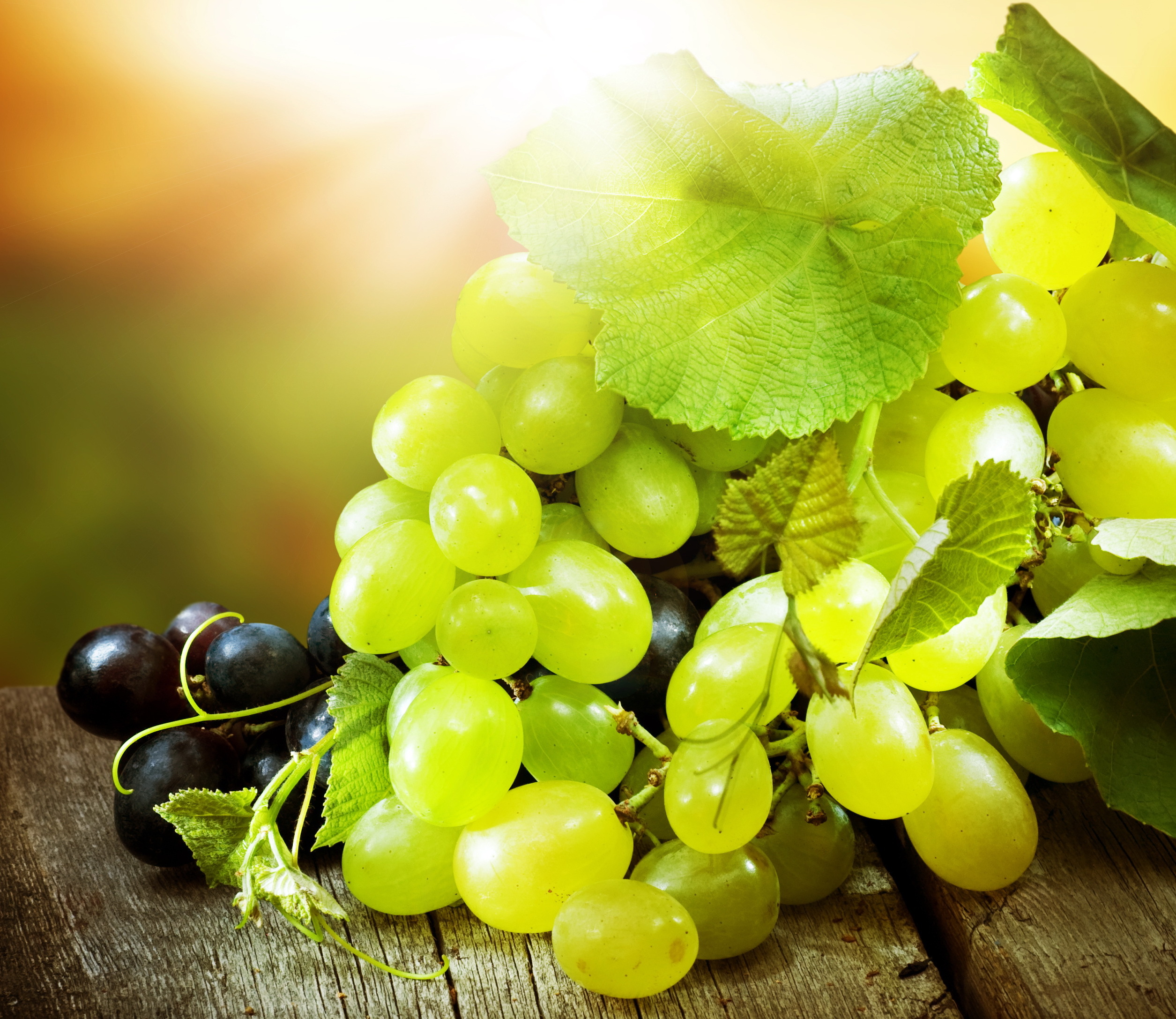 Food Grapes 2510x2174