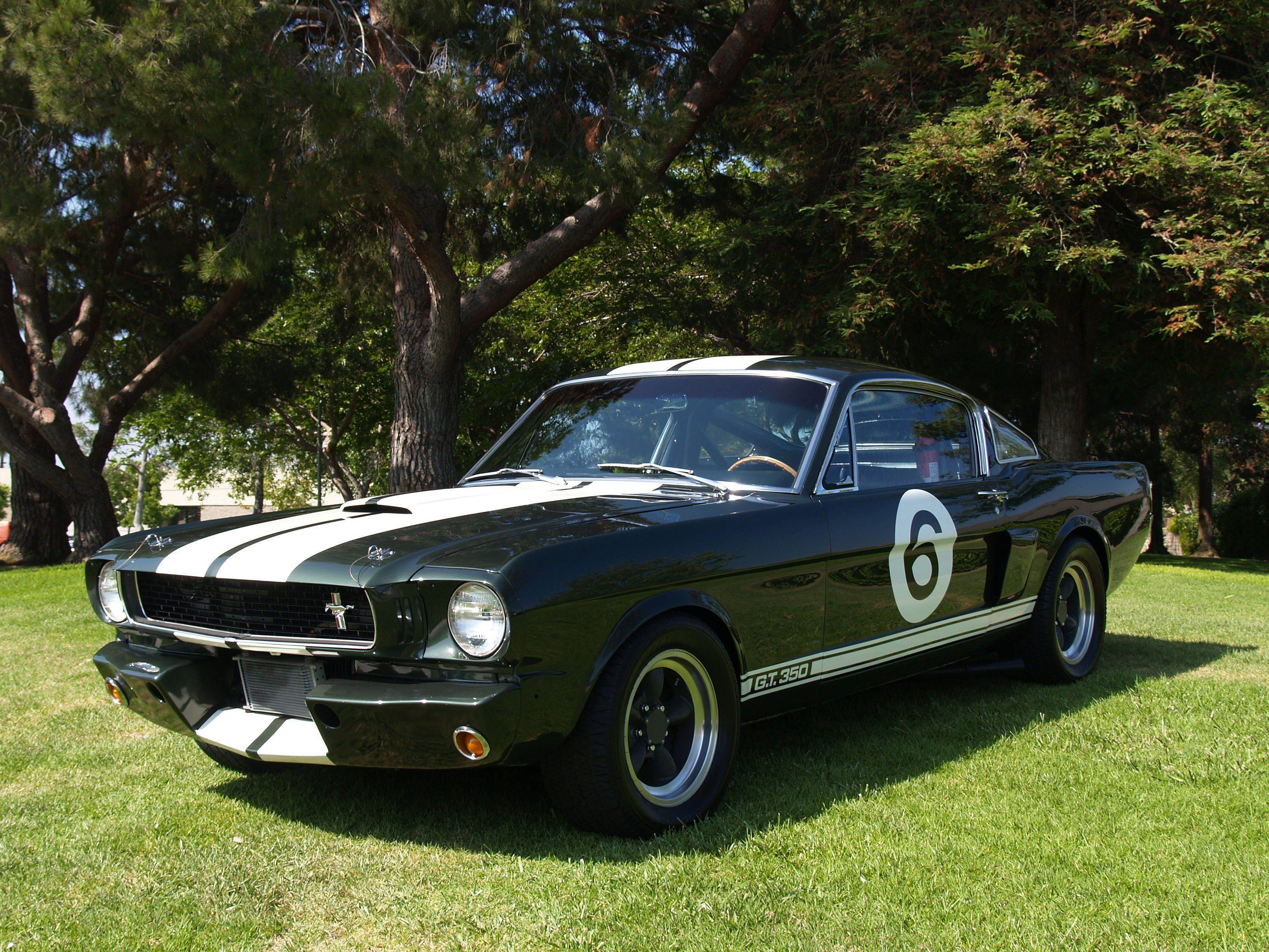 Black Car Car Fastback Ford Shelby Gt350 Muscle Car 2500x1875