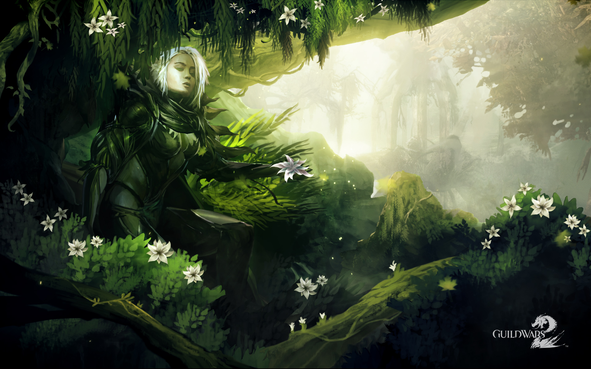 Video Game Guild Wars 2 1920x1200