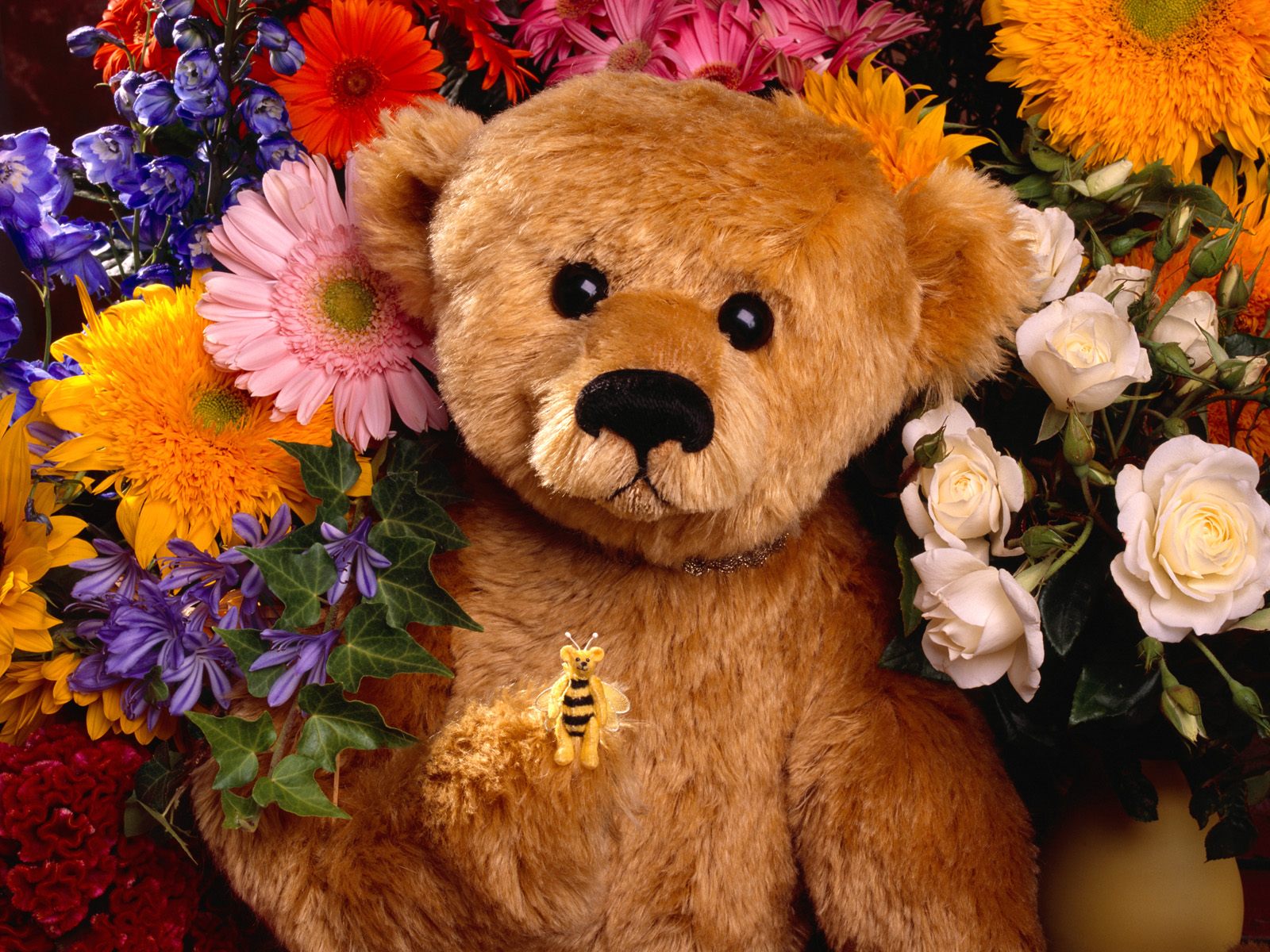 Flower Teddy Bear Toy 1600x1200