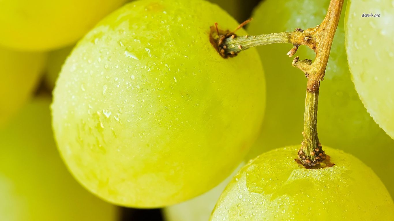 Grapes 1366x768