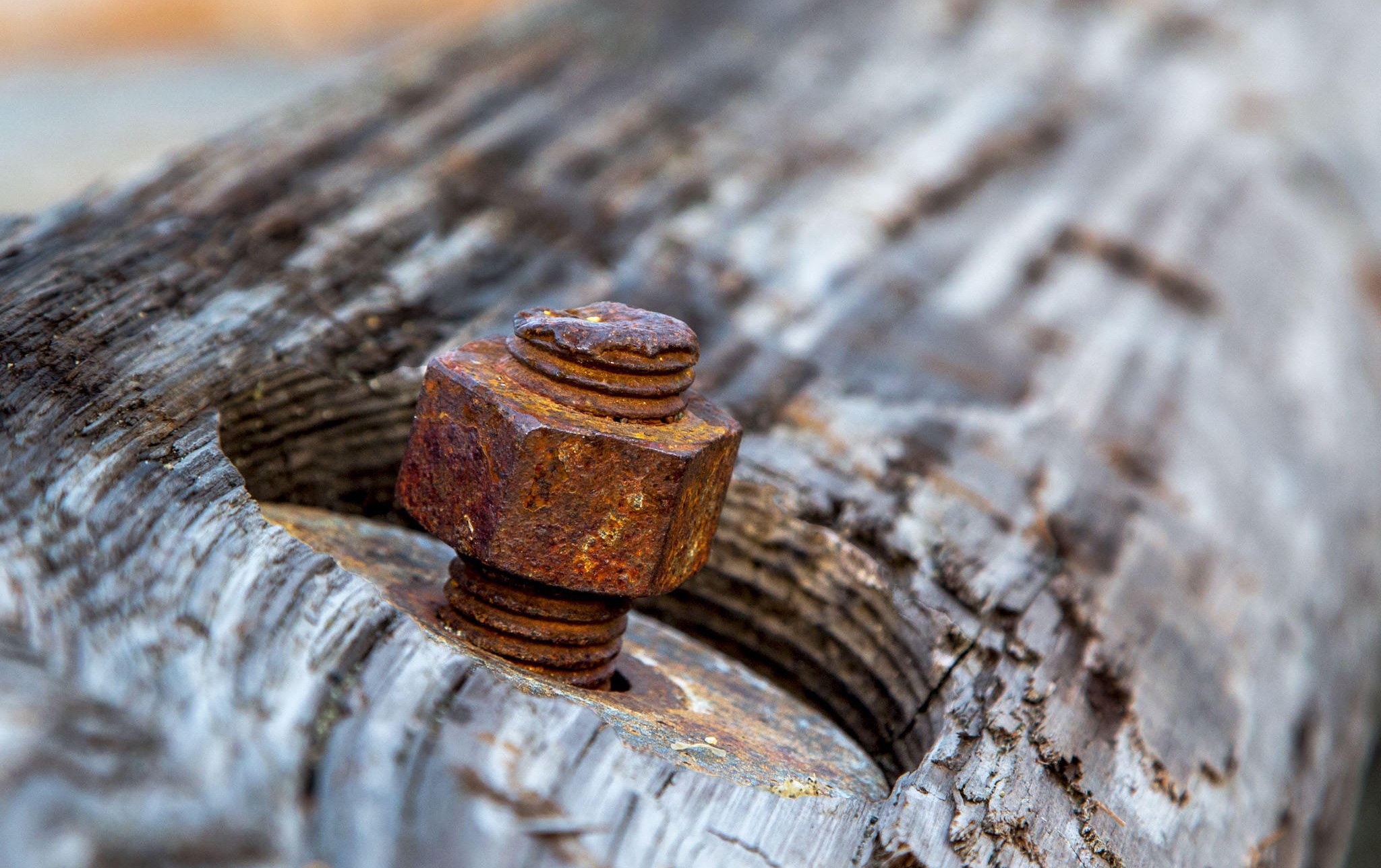 Macro Screws Metal Wood Rust Old 2048x1288