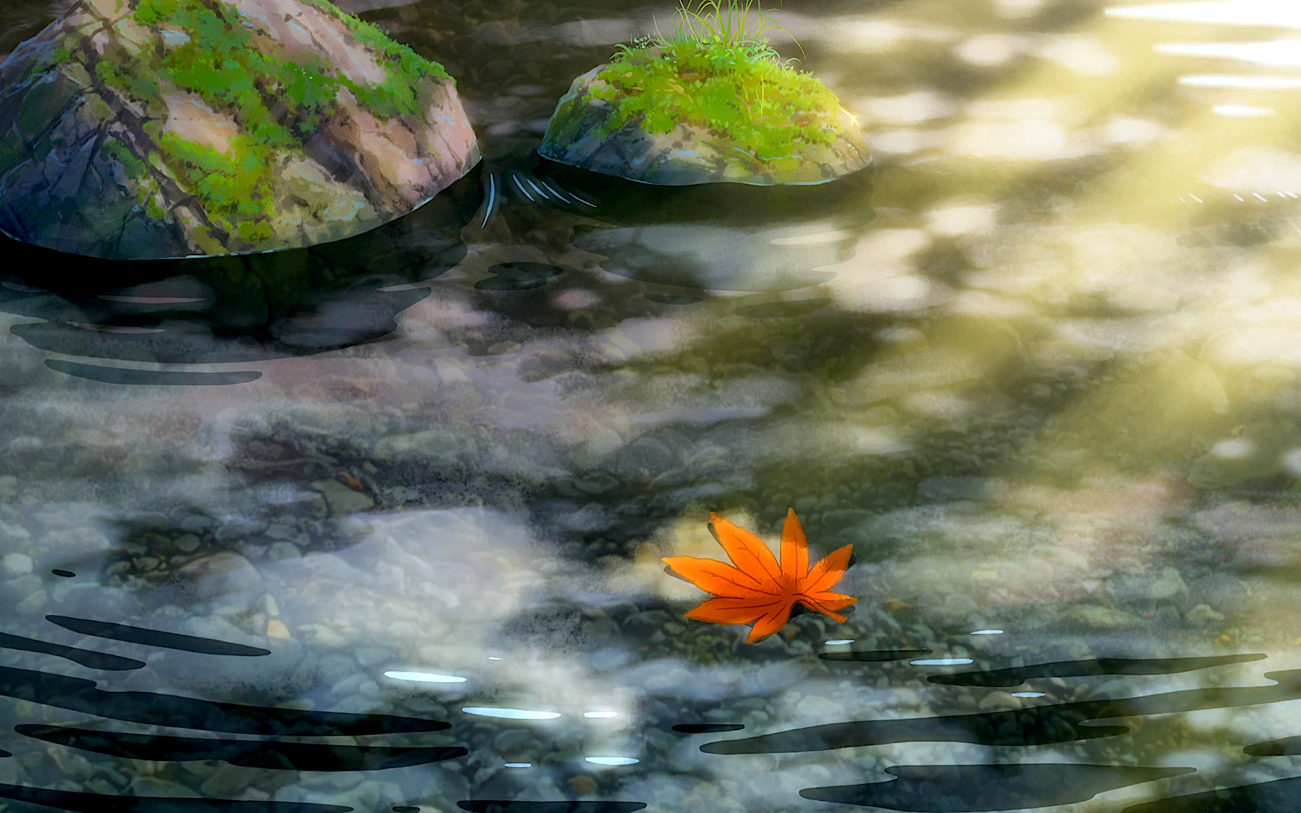 Kimi No Na Wa Leaf Moss Puddle Rock Water Your Name 2560x1600