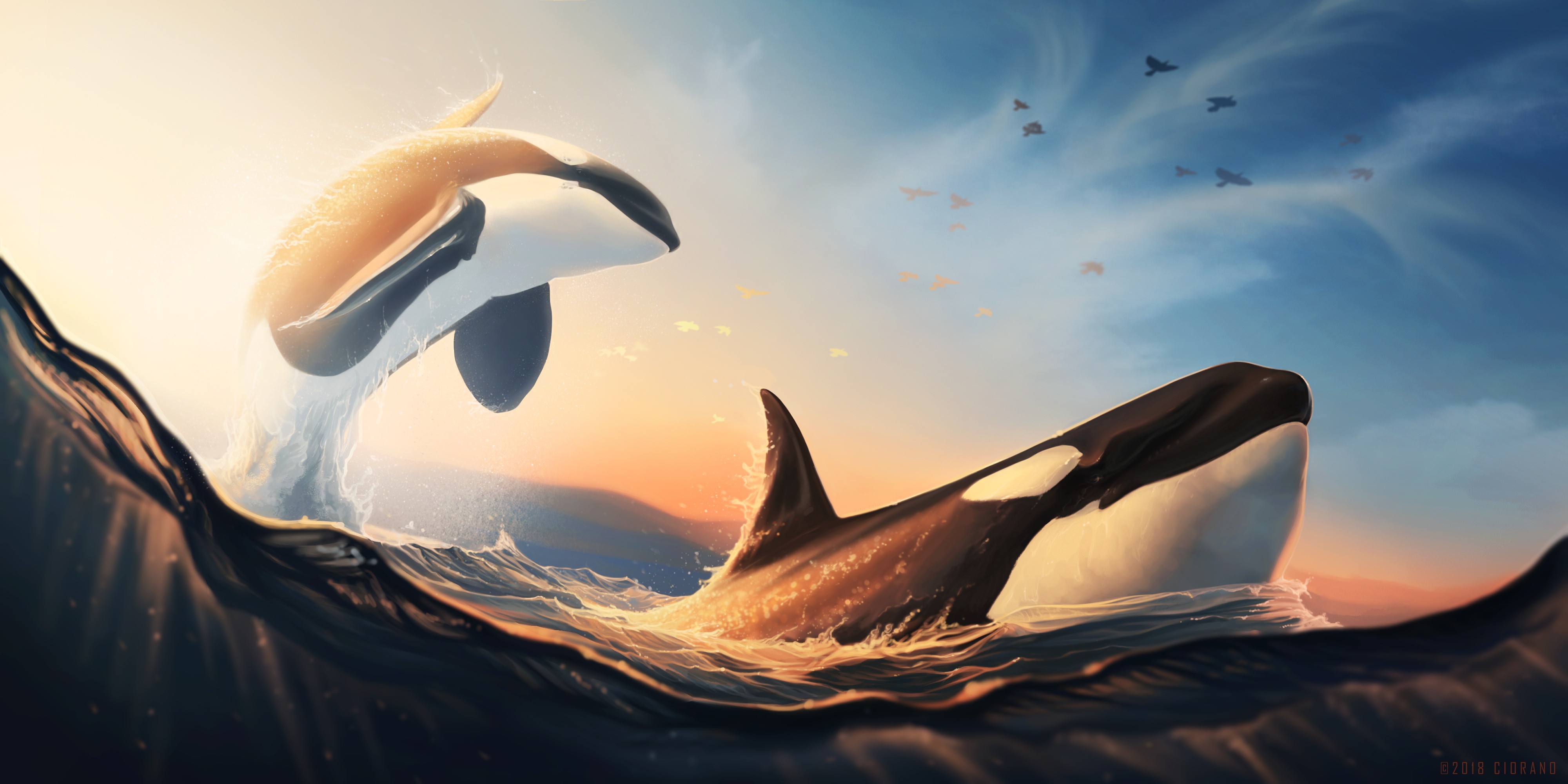 Artistic Orca Sea Life 4000x2000