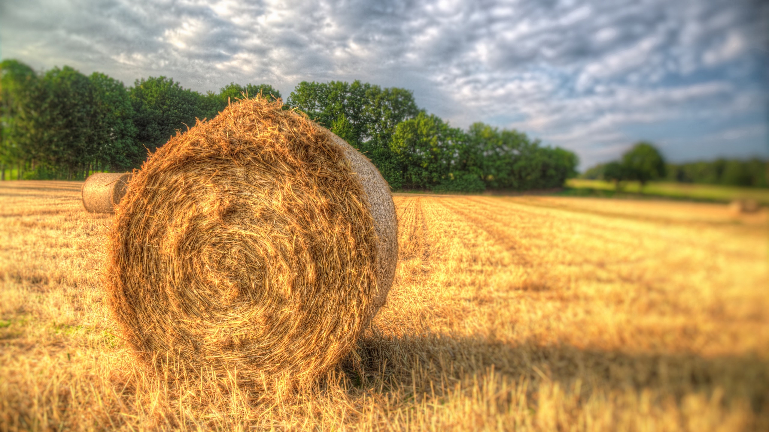 Outdoors Field Straw Hay Bales 2560x1440