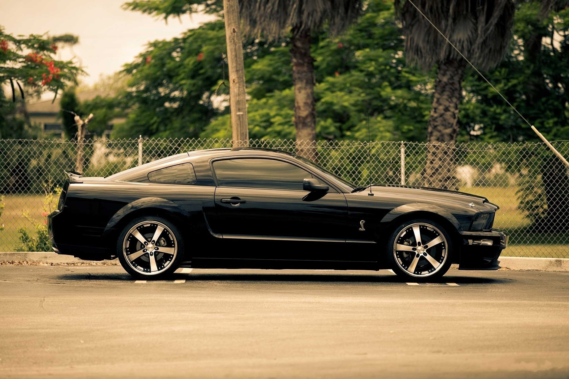 Vehicles Ford Mustang Shelby GT500 1920x1280