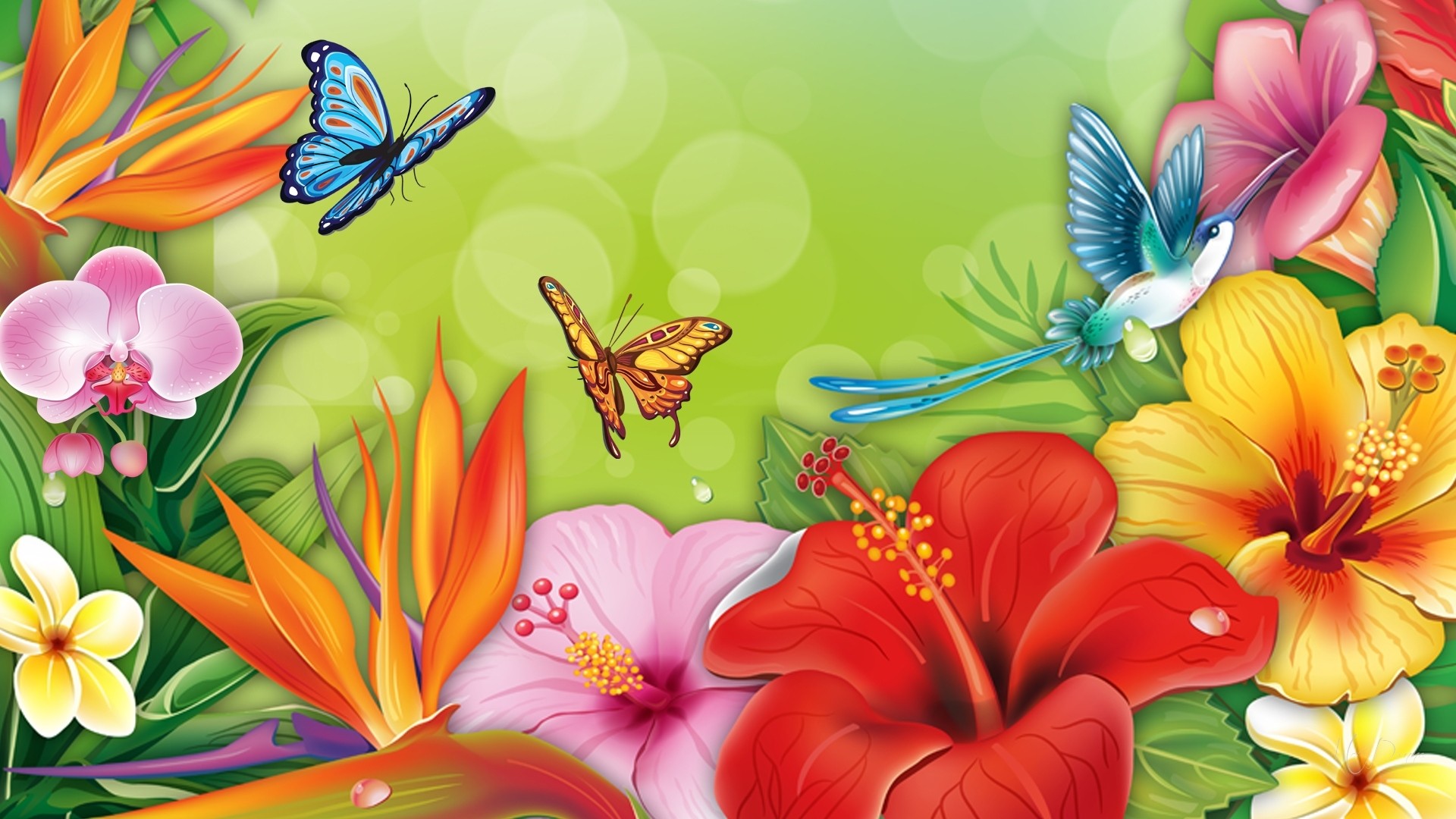 Butterfly Colorful Flower Spring 1920x1080