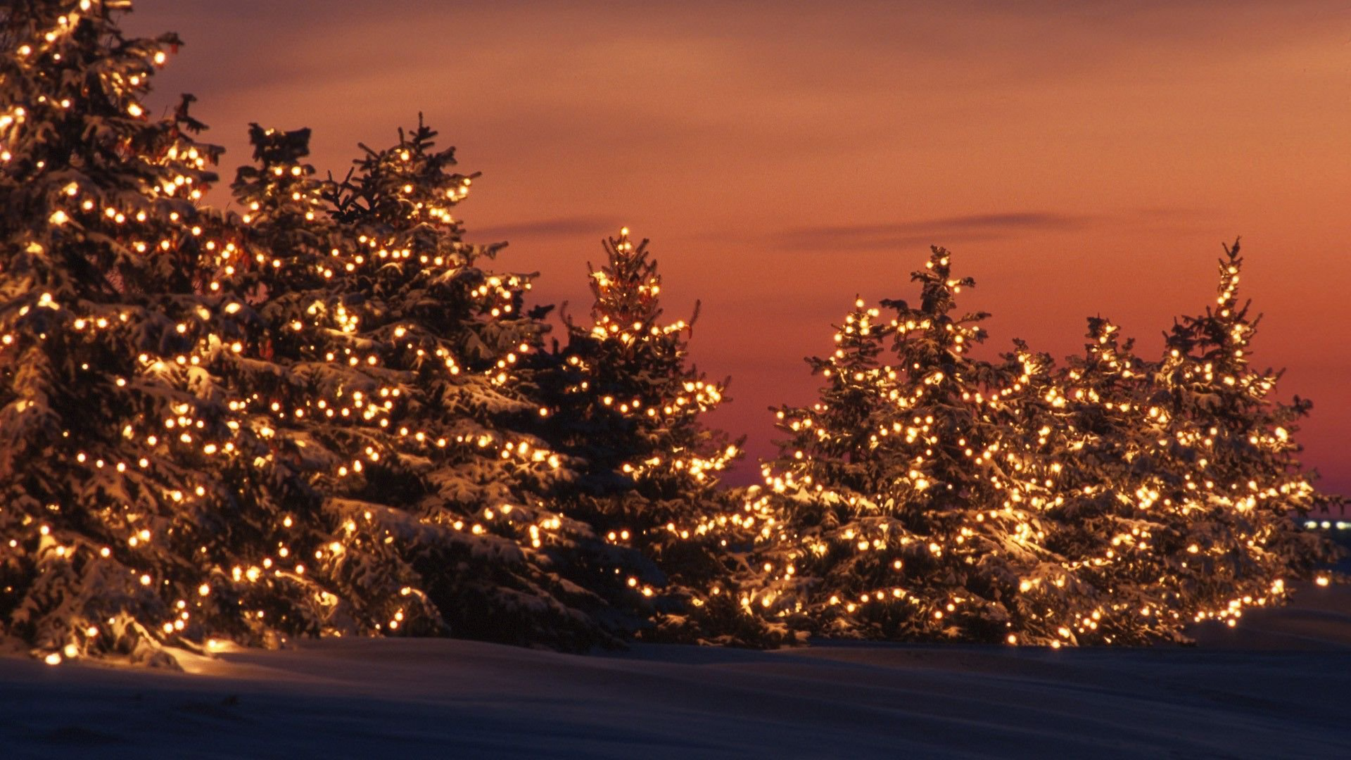 Christmas Ligths Sunset Tree 1920x1080