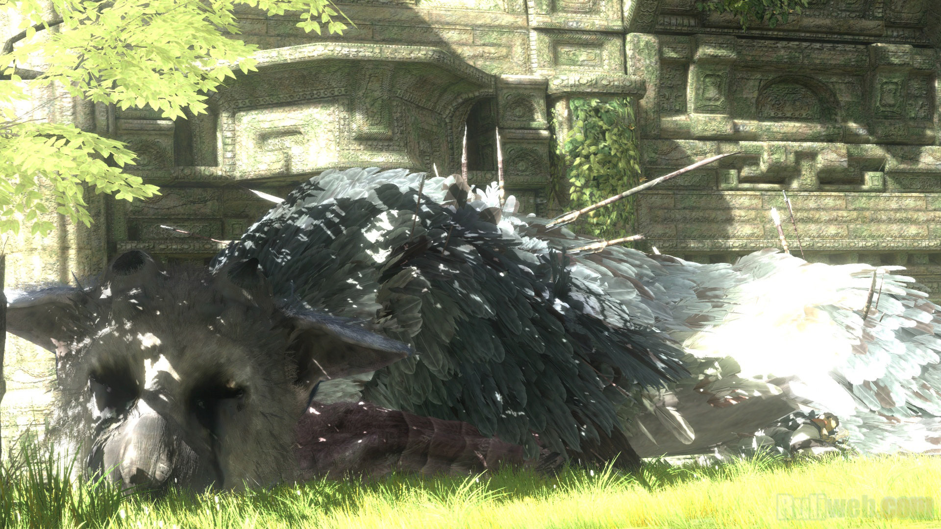 Video Game The Last Guardian 1920x1080