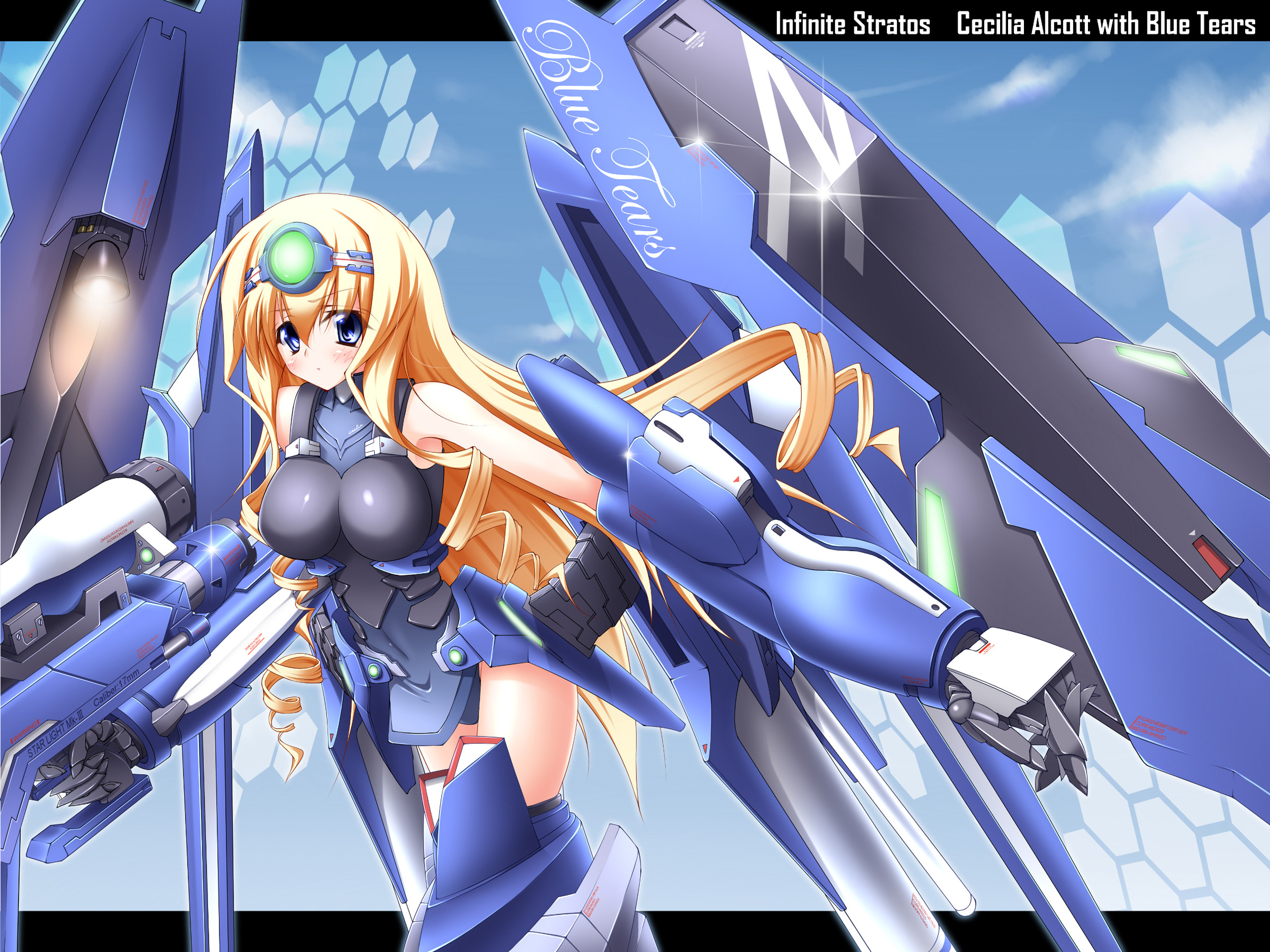 Anime Infinite Stratos 2560x1920