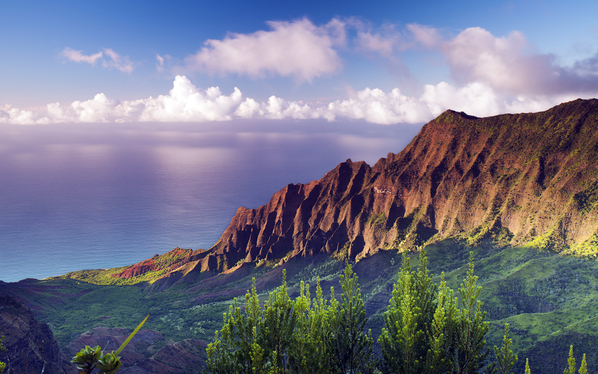 Cloud Coast Coastline Hawaii Ocean Rock 1920x1200