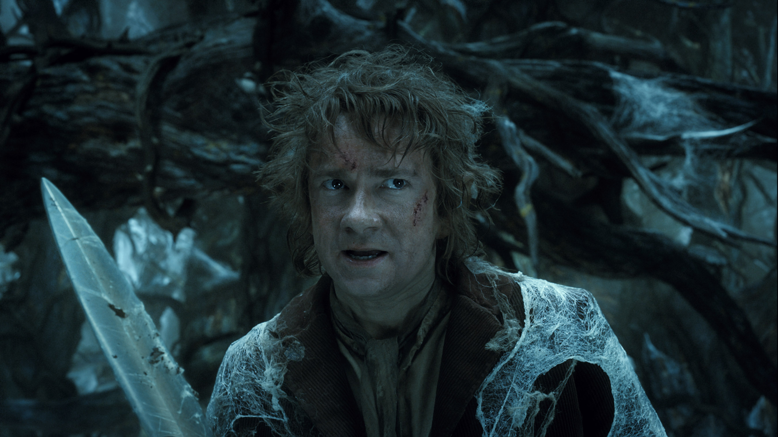 Movie The Hobbit The Desolation Of Smaug 2700x1519