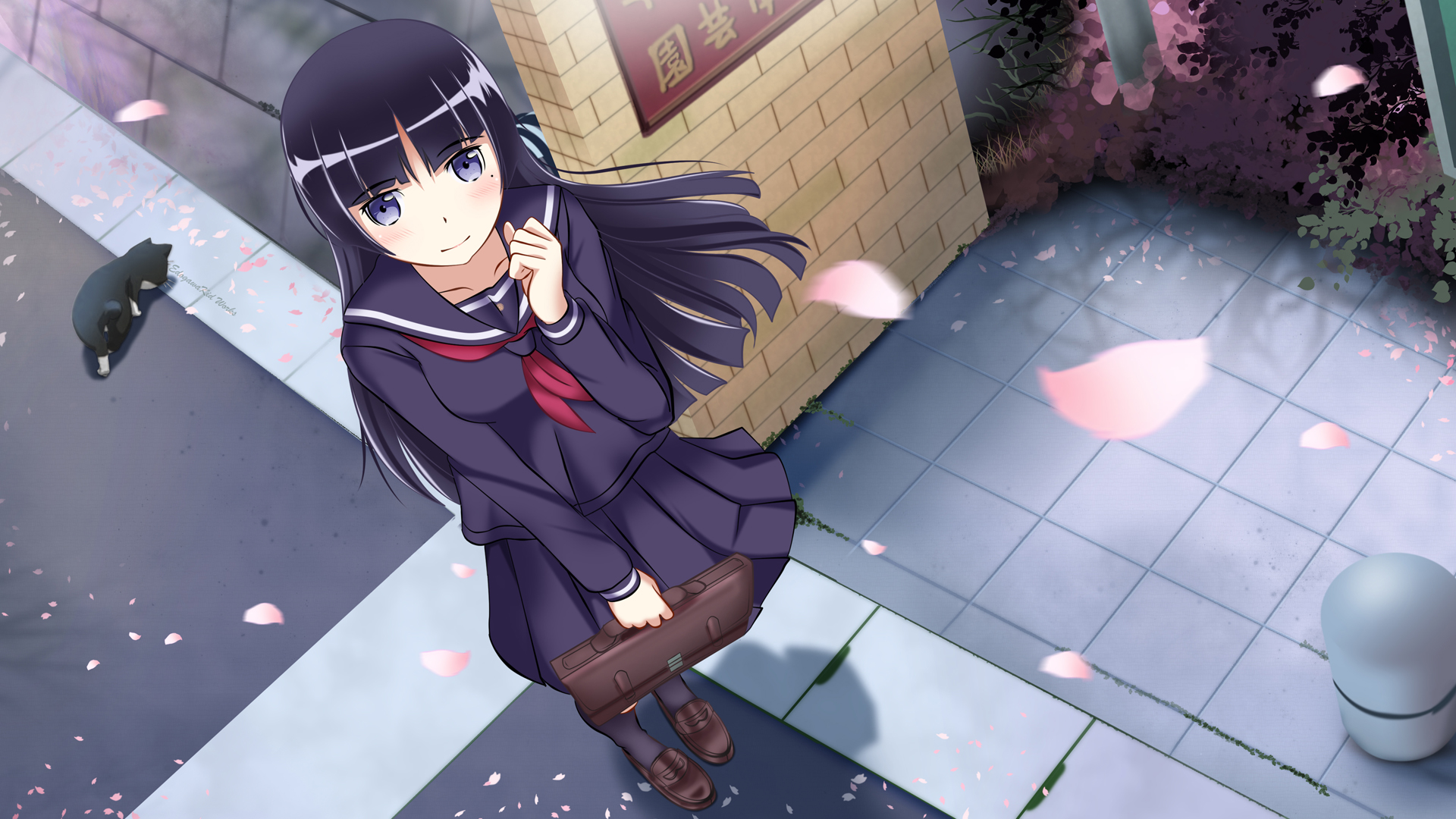 Ruri Gok 1920x1080