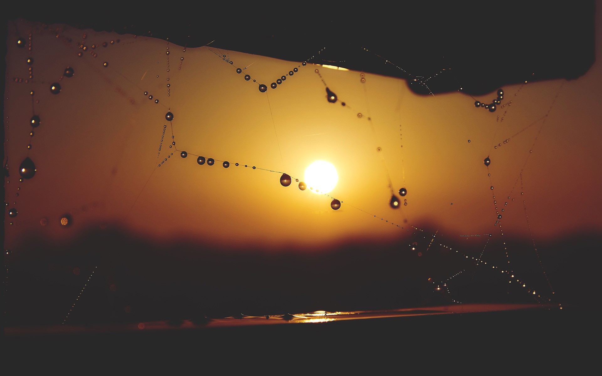 Depth Of Field Dew Drop Macro Spider Web Sun Sunset 1920x1200