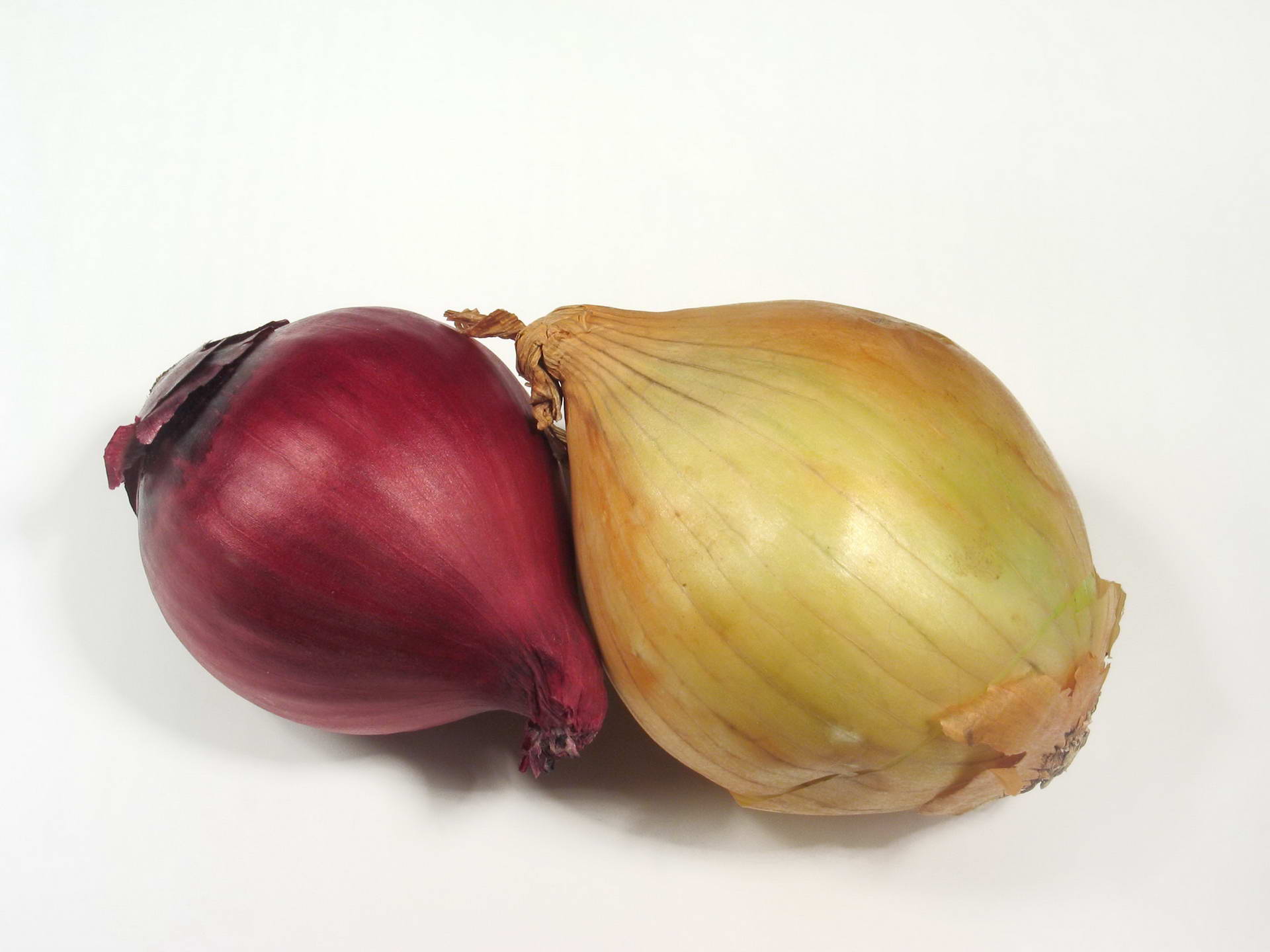 Food Onion 1920x1440