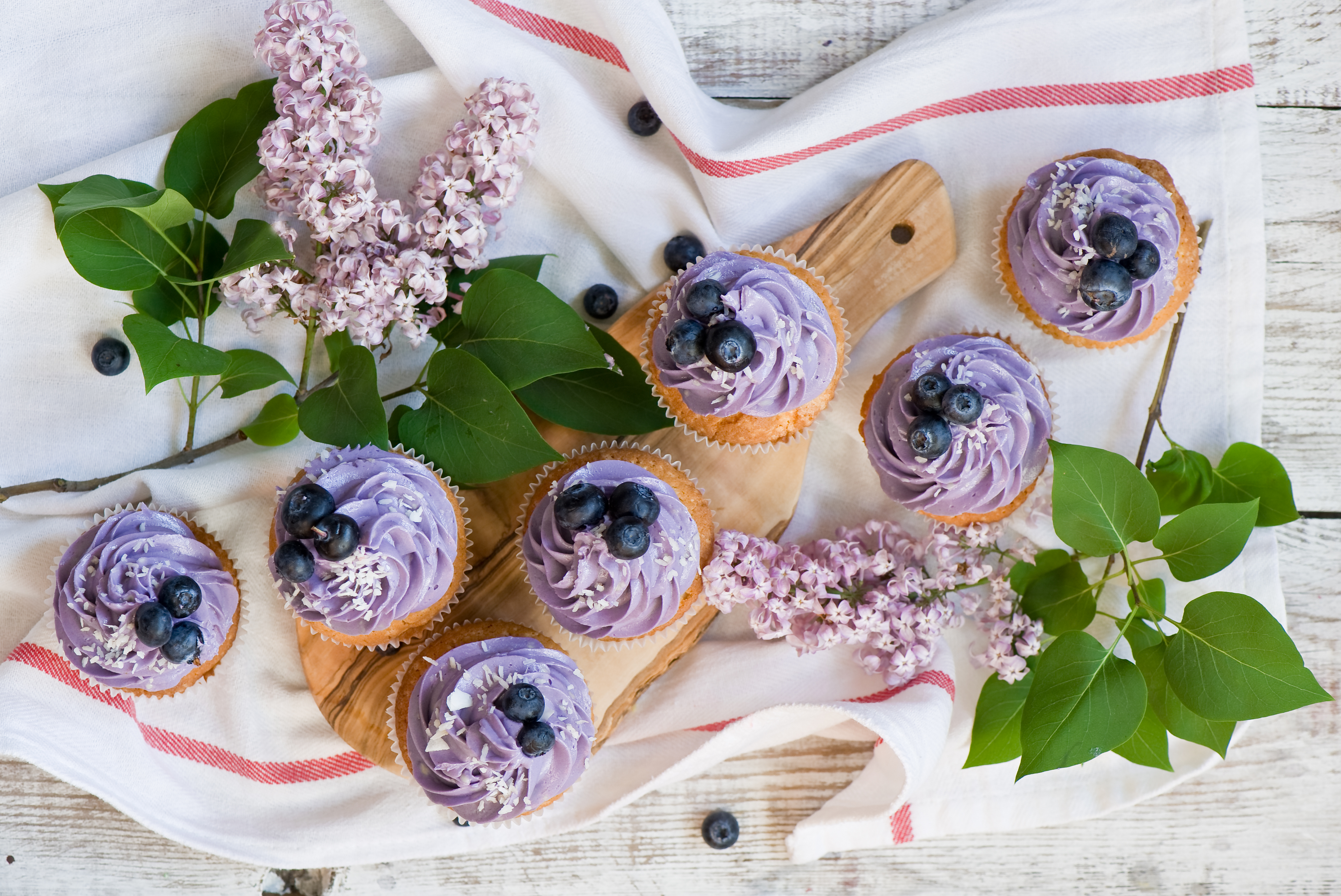 Blueberry Cupcake Dessert Lilac Sweets 4160x2780