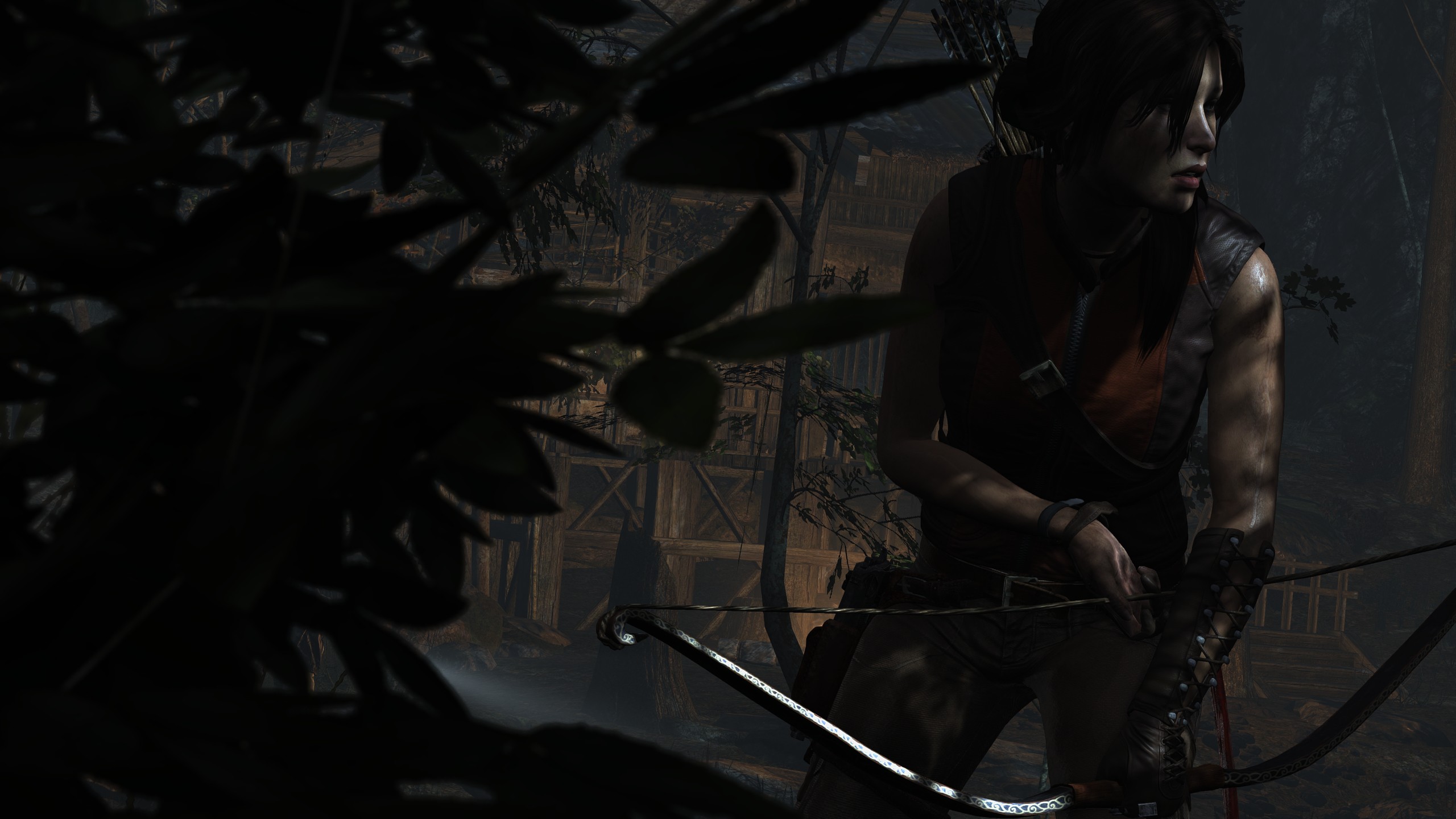 Video Game Tomb Raider 2560x1440