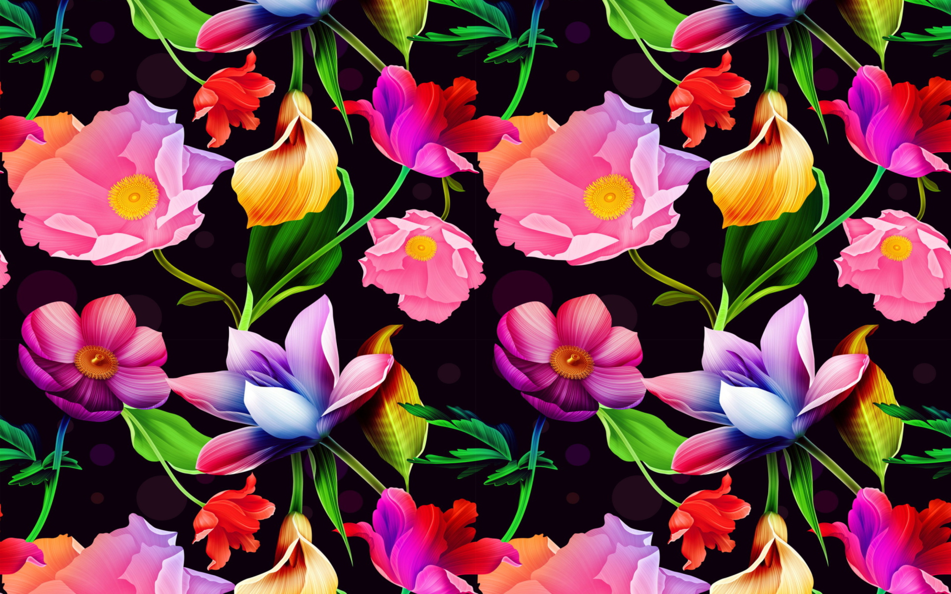 Artistic Bright Colorful Colors Floral Flower 1920x1200