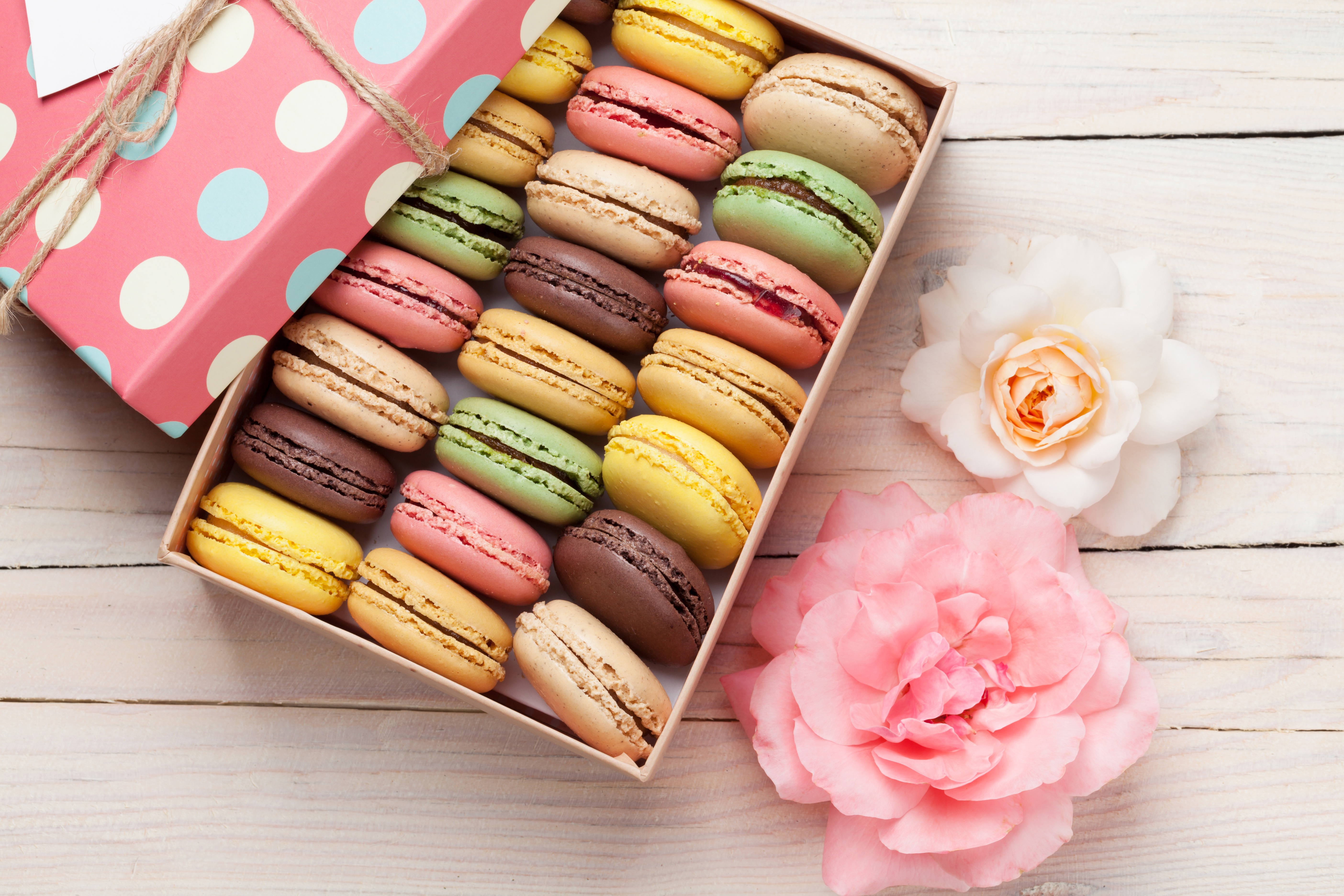 Colors Flower Gift Macaron Still Life Sweets 5616x3744