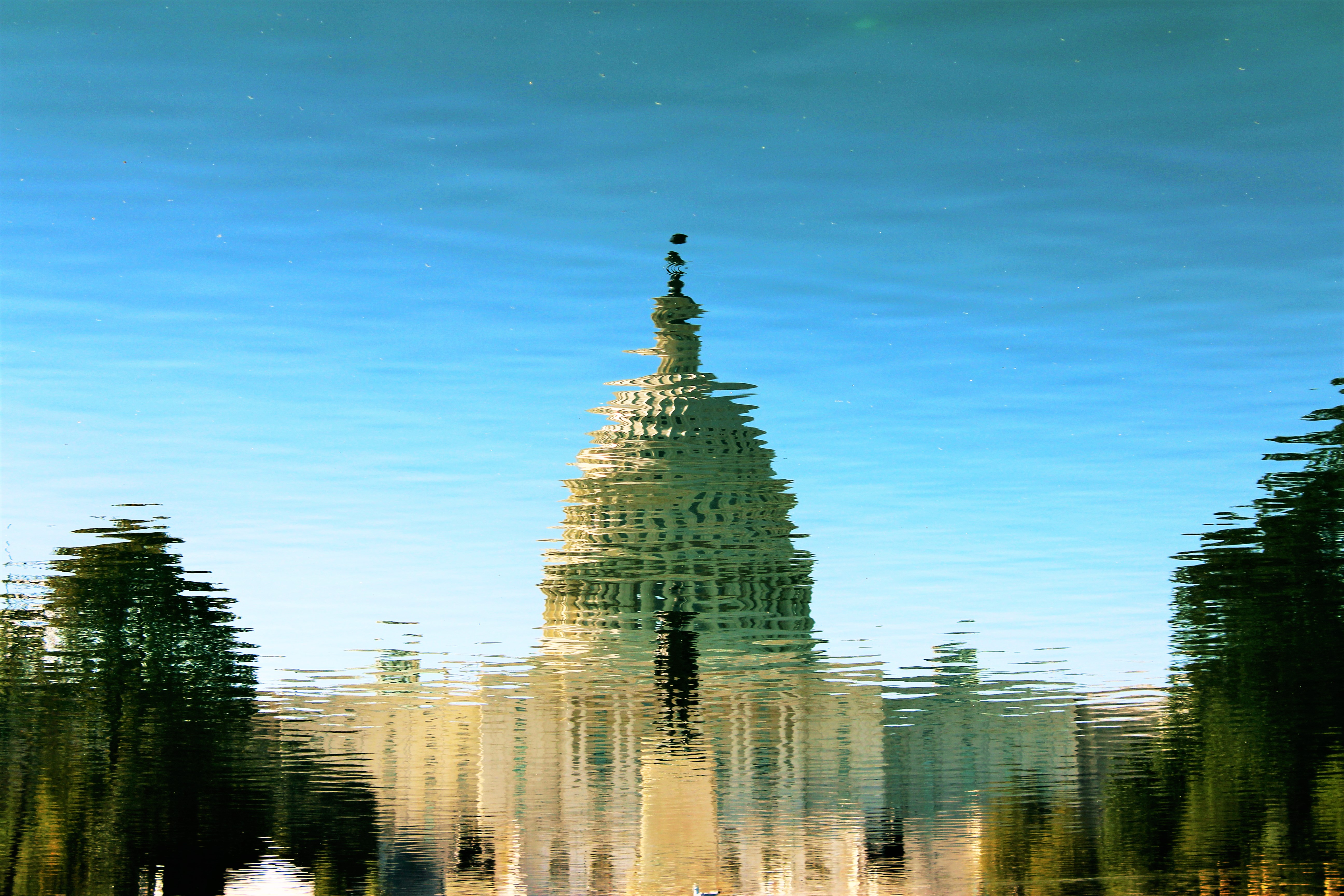 Building Capitol Building Reflection Washington 5184x3456