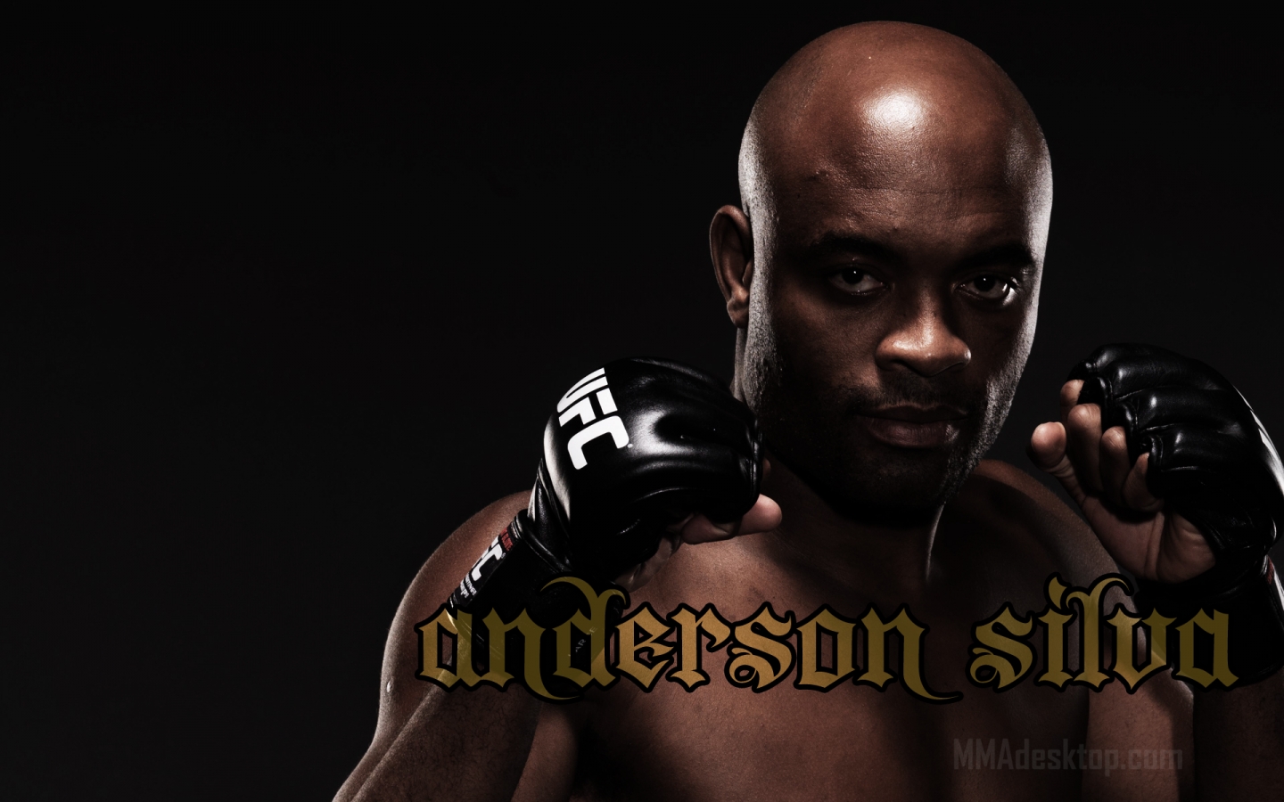 Anderson Mma Ultimate Fighting Championship 1440x900