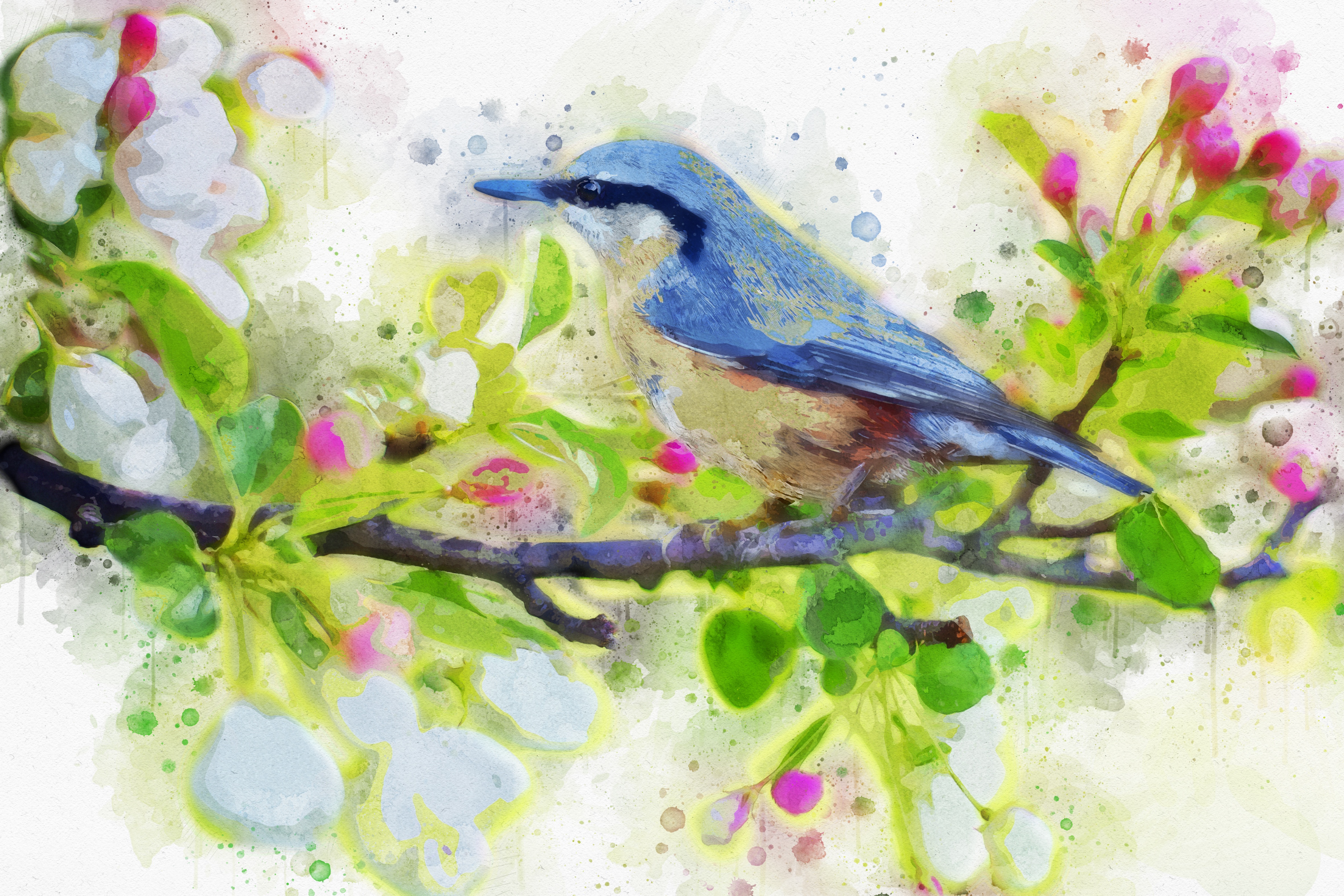 Artistic Bird Branch Watercolor 4729x3153
