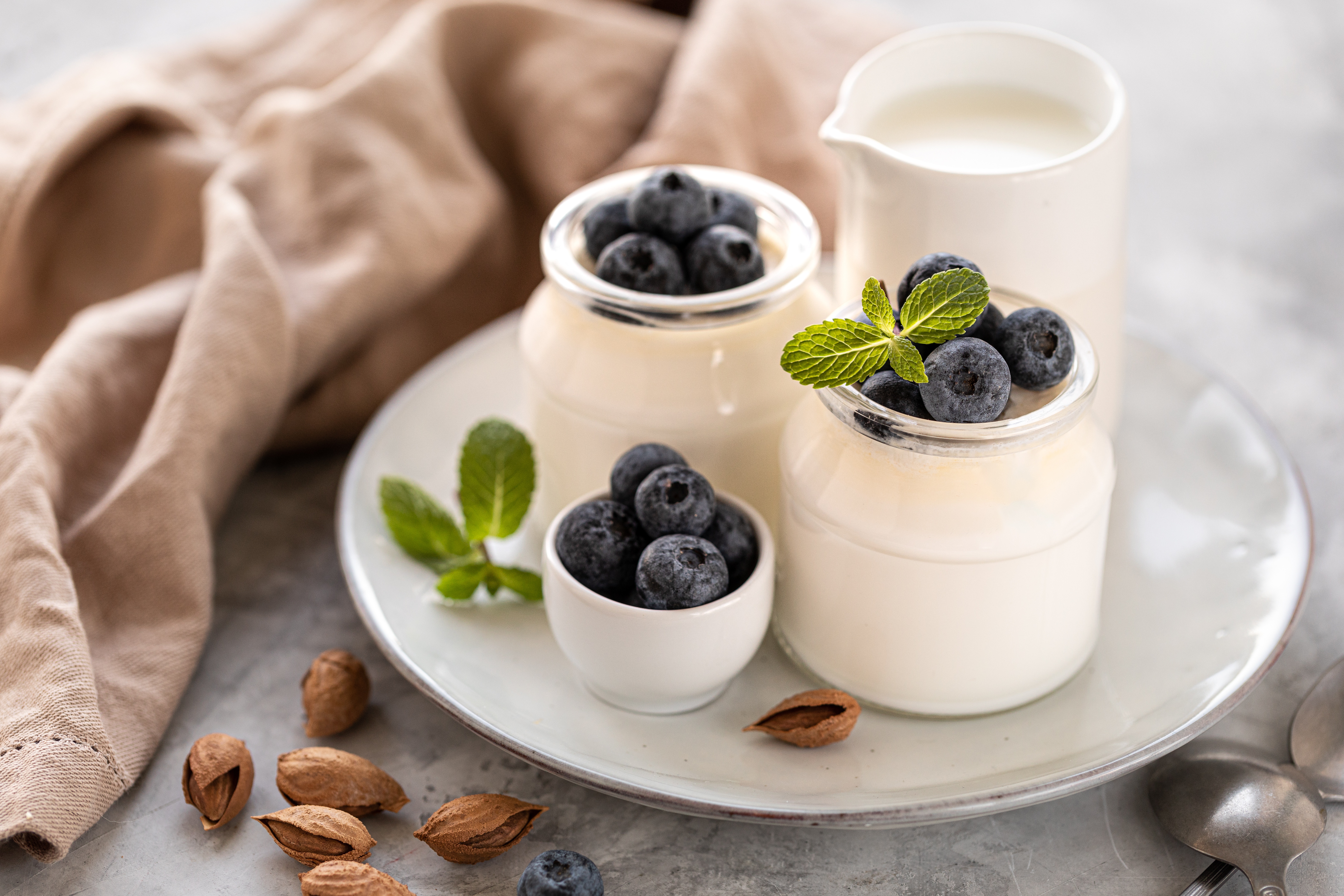 Blueberry Still Life Yogurt 6513x4342