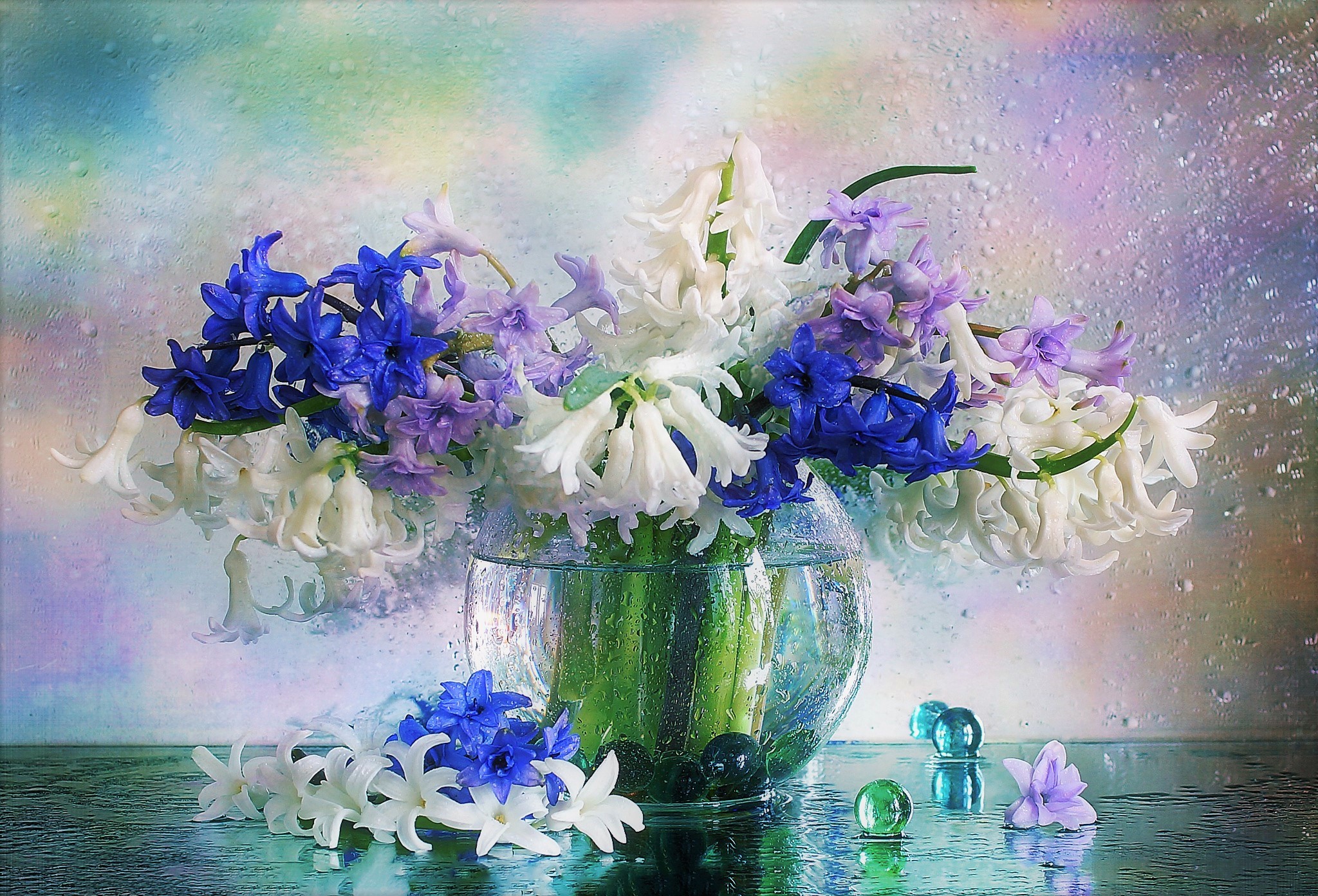 Blue Flower Hyacinth Purple Raindrops Still Life Vase White Window 2048x1393
