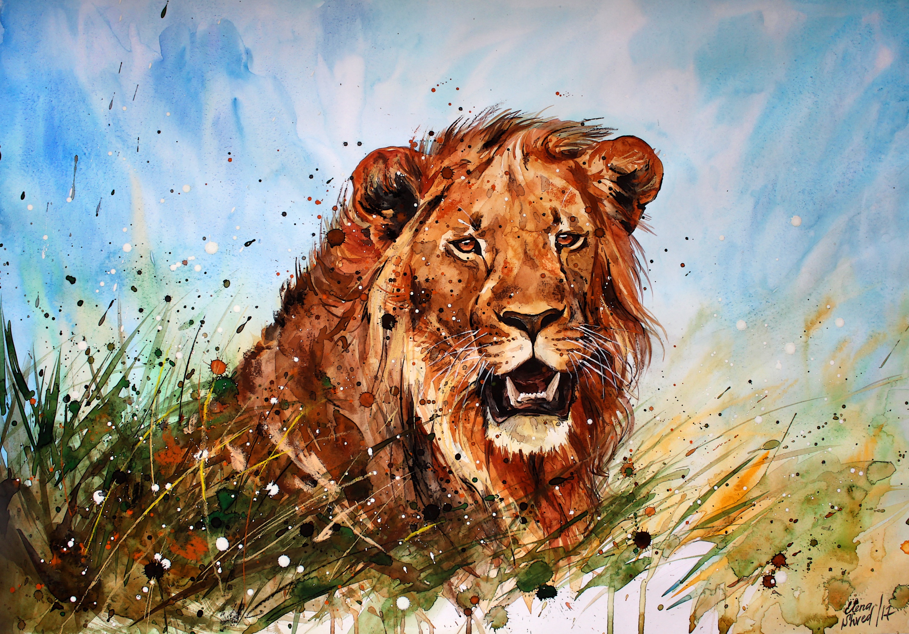 Big Cat Lion Painting Watercolor Wildlife Predator Animal 3049x2126