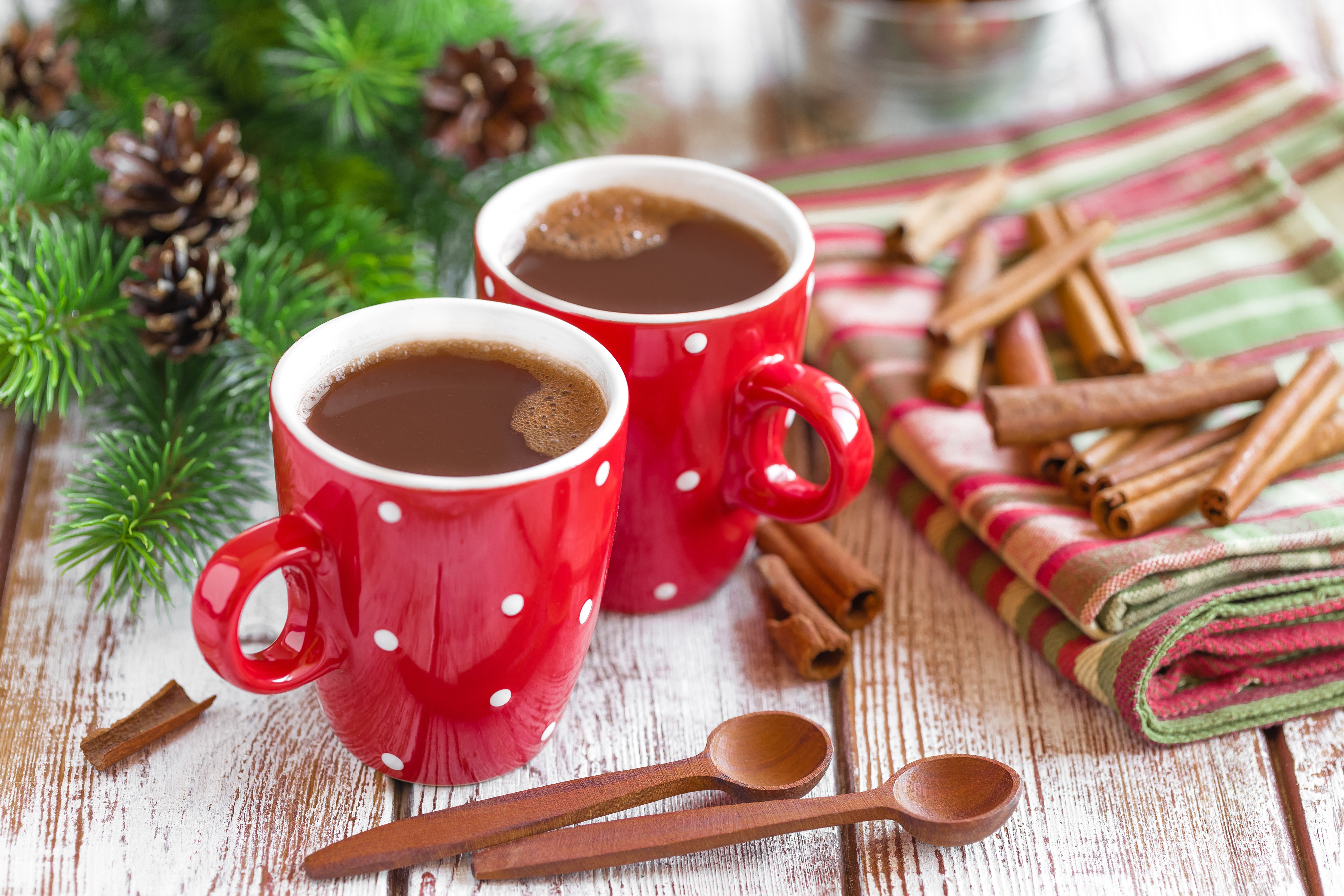 Cinnamon Cup Hot Chocolate 8000x5333