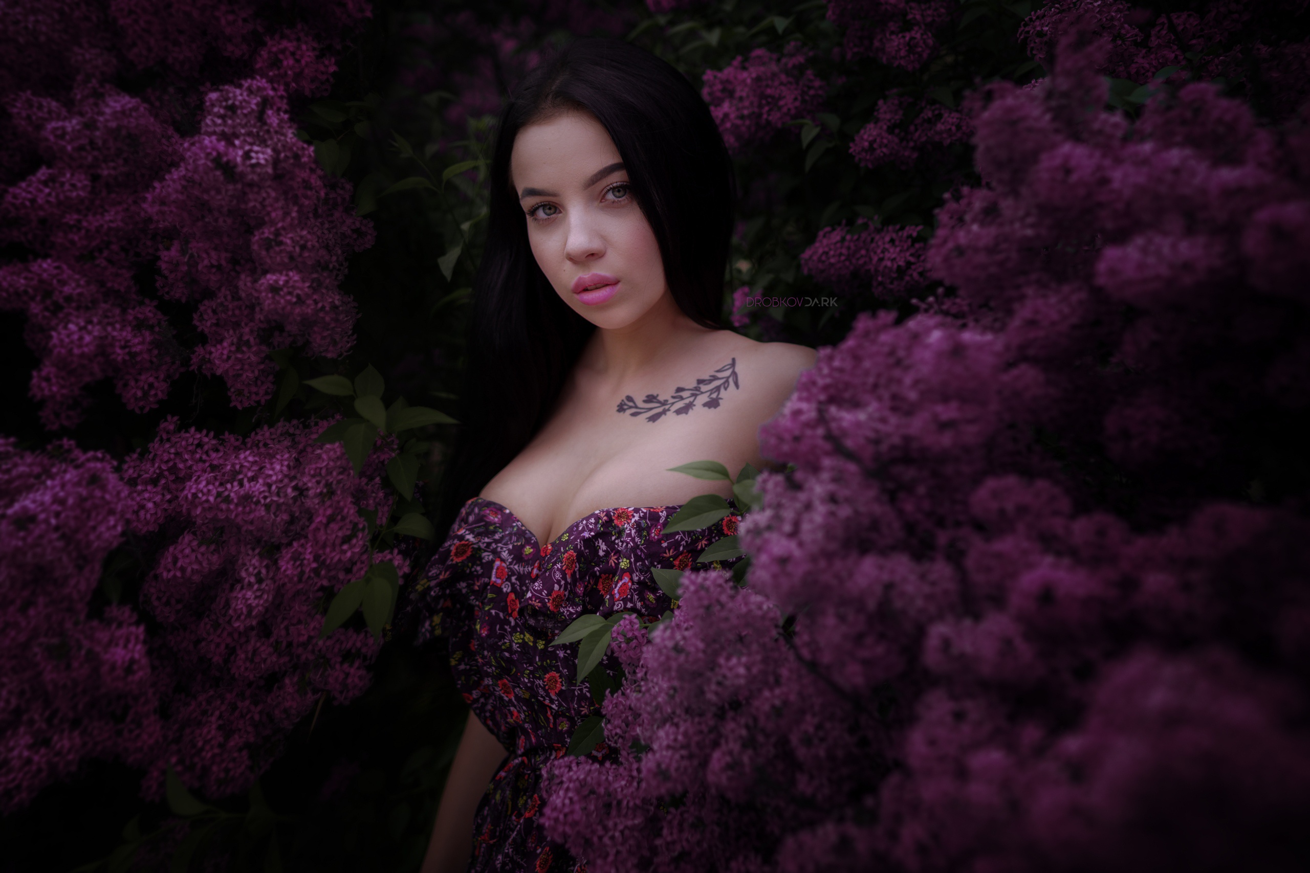 Women Model Women Outdoors Dark Hair Flowers Plants Looking At Viewer Alexander Drobkov 2560x1707