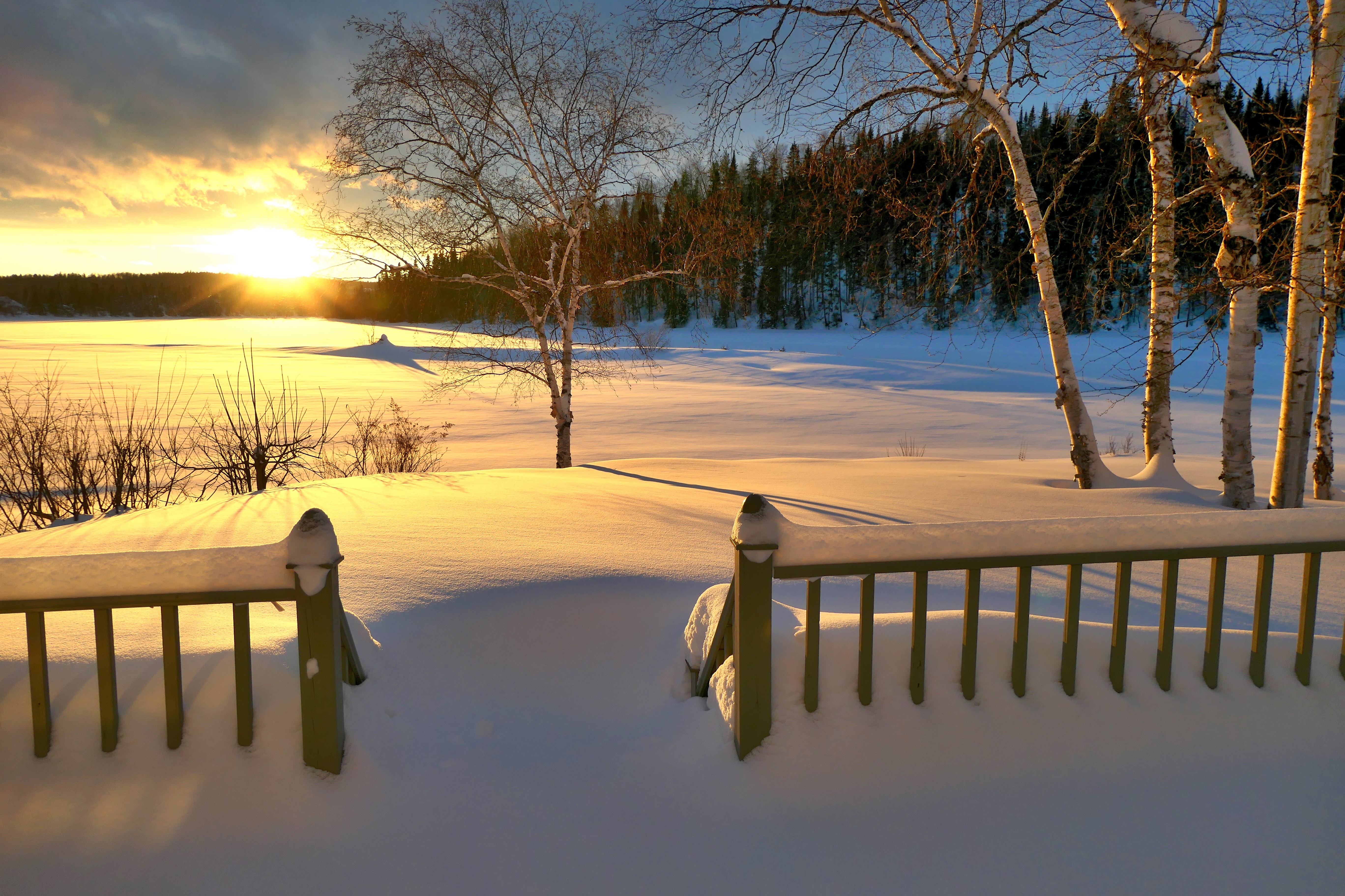 Birch Fence Quebec Snow Sunset Winter 5472x3648