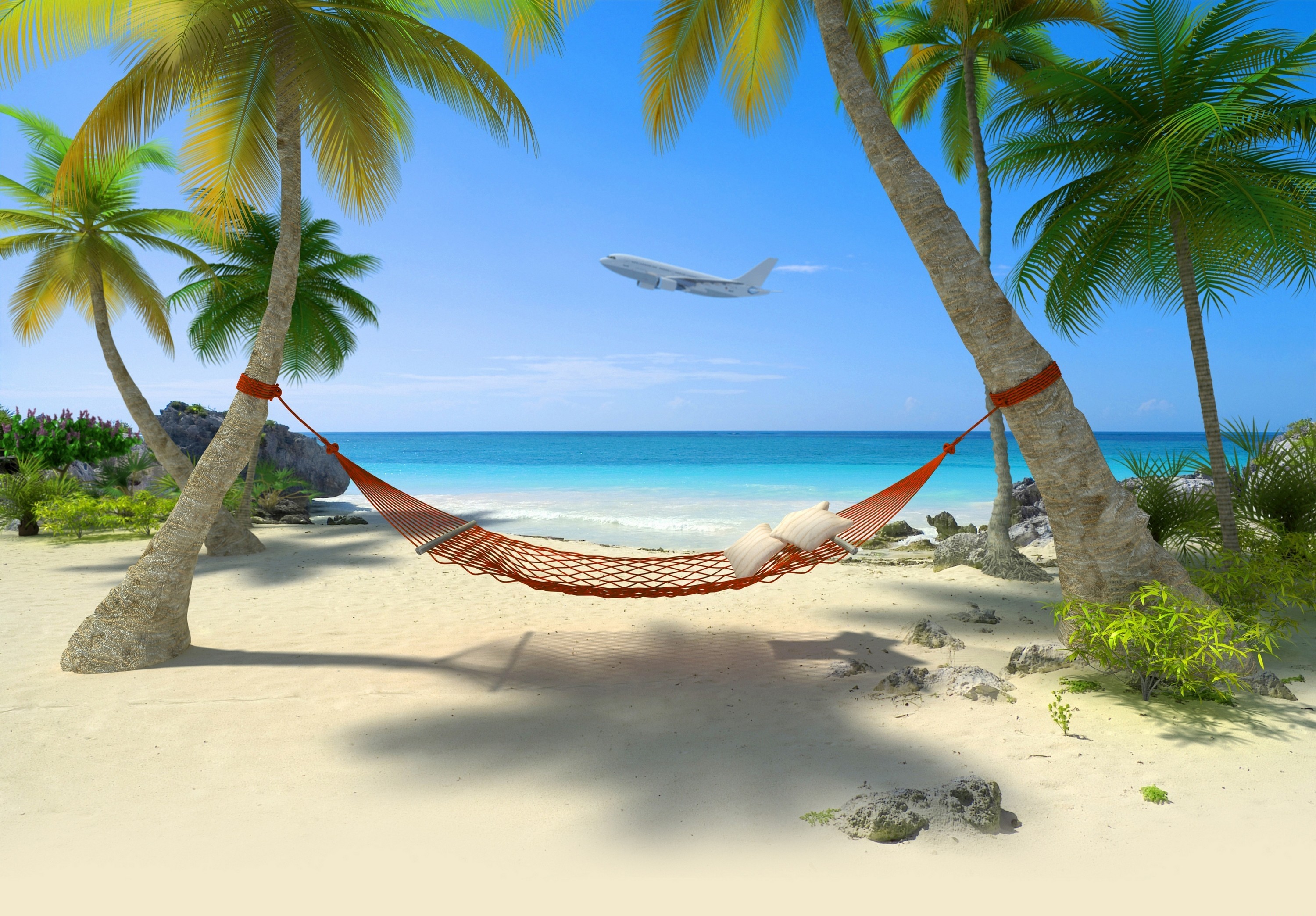 Airplane Beach Holiday Palm Tree Sea Tropics 3000x2088