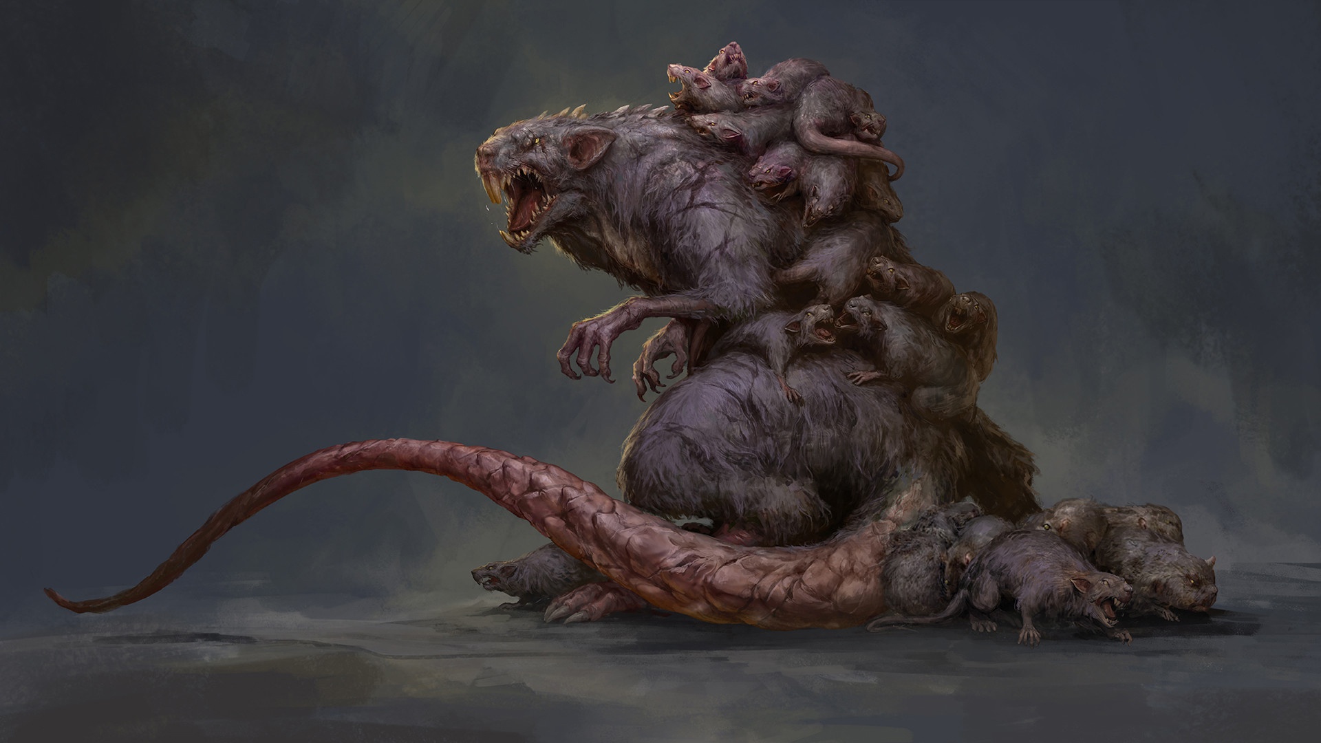 Baby Animal Creature Rat 1920x1080