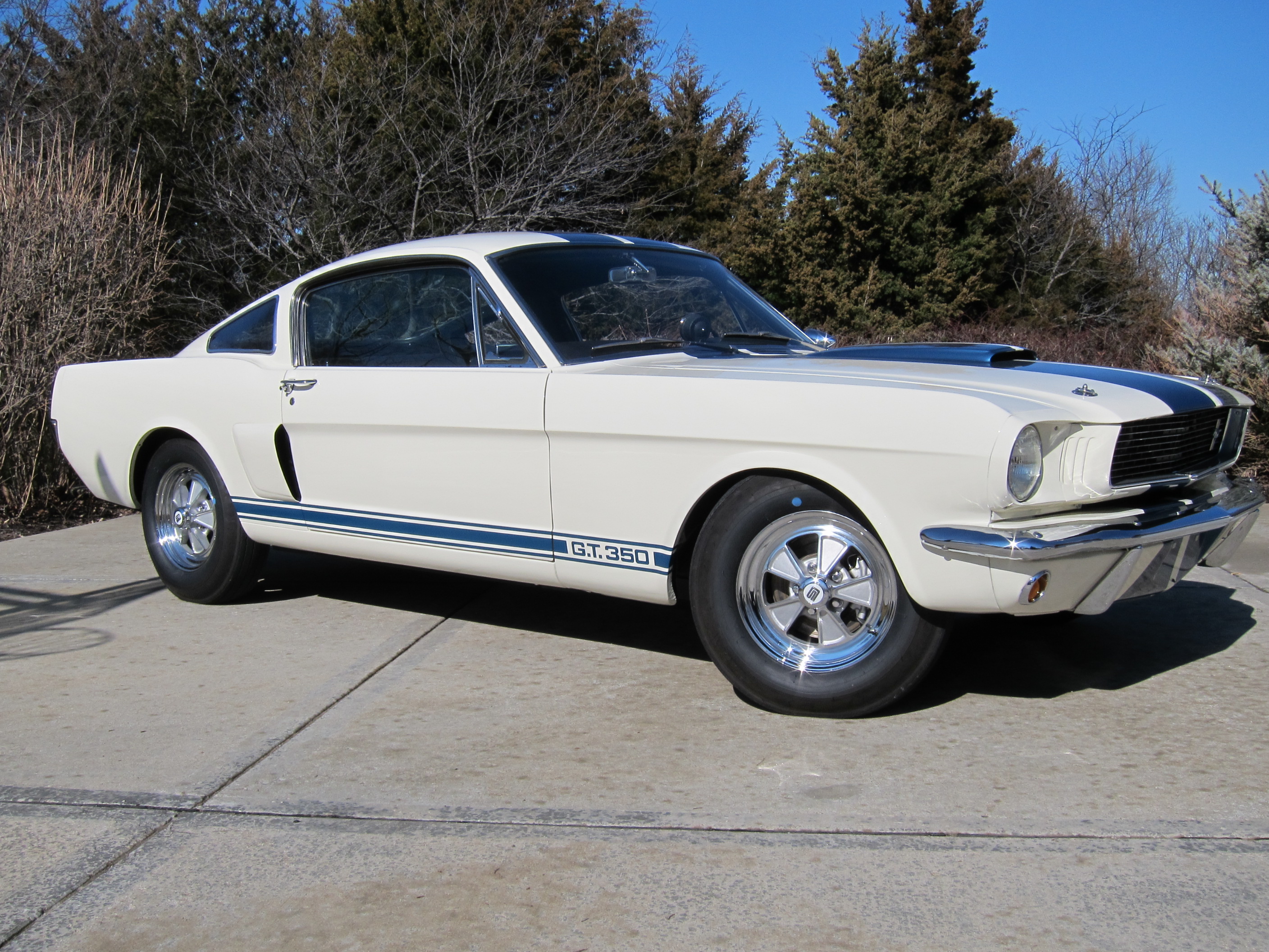 Car Fastback Ford Shelby Gt350 Muscle Car White Car 2816x2112