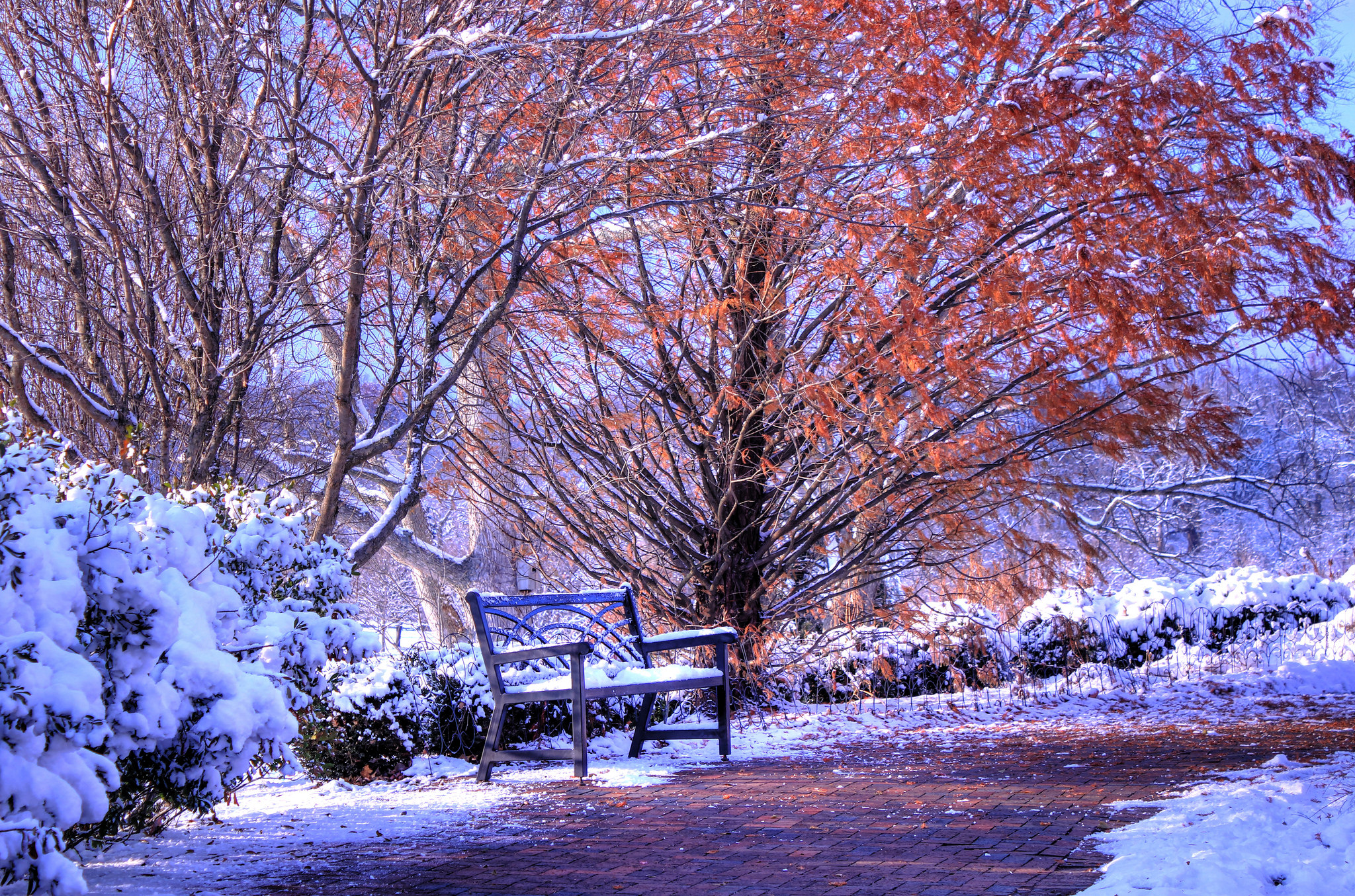Январь году начало зимы. Ранняя зима. Красивая зима. Зимний парк. Первый снег.