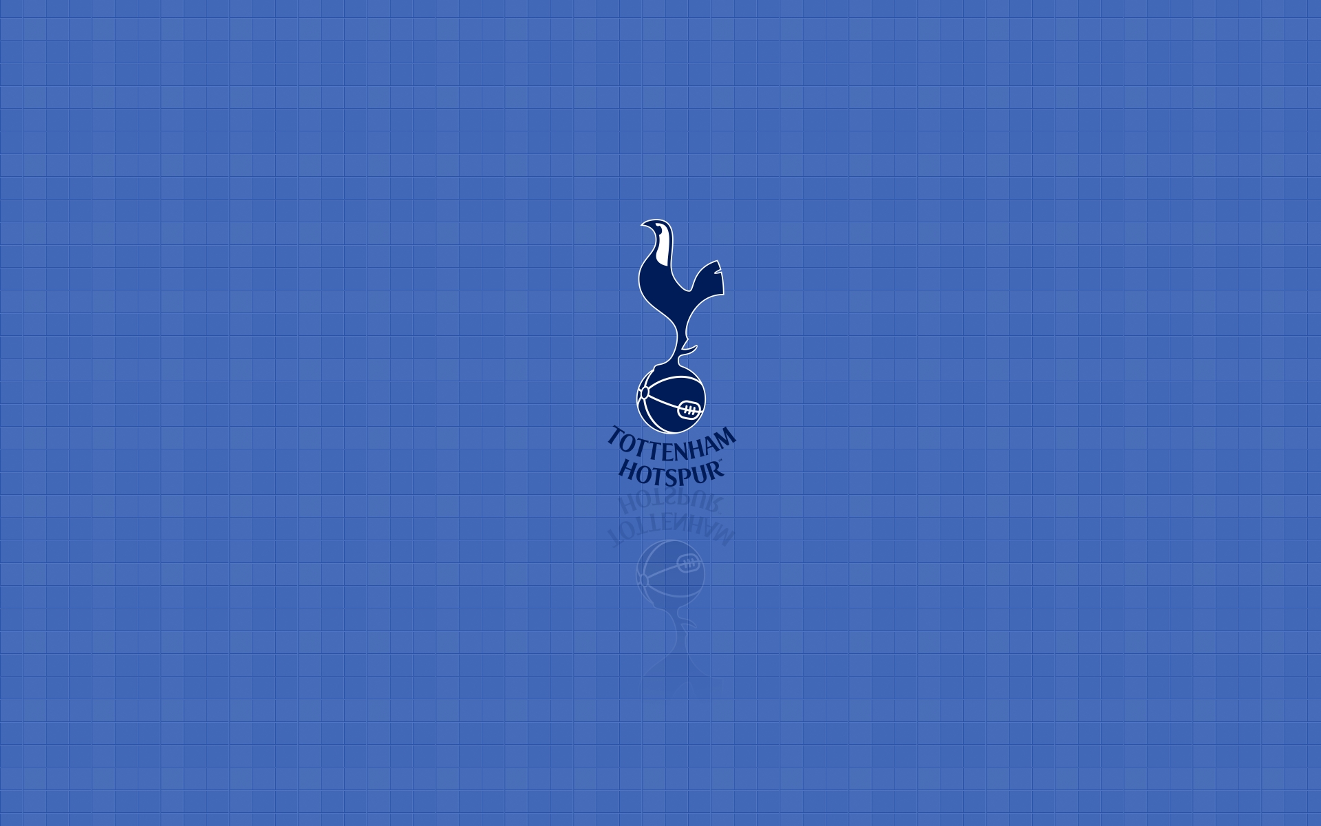 Emblem Logo Soccer Tottenham Hotspur F C 1920x1200
