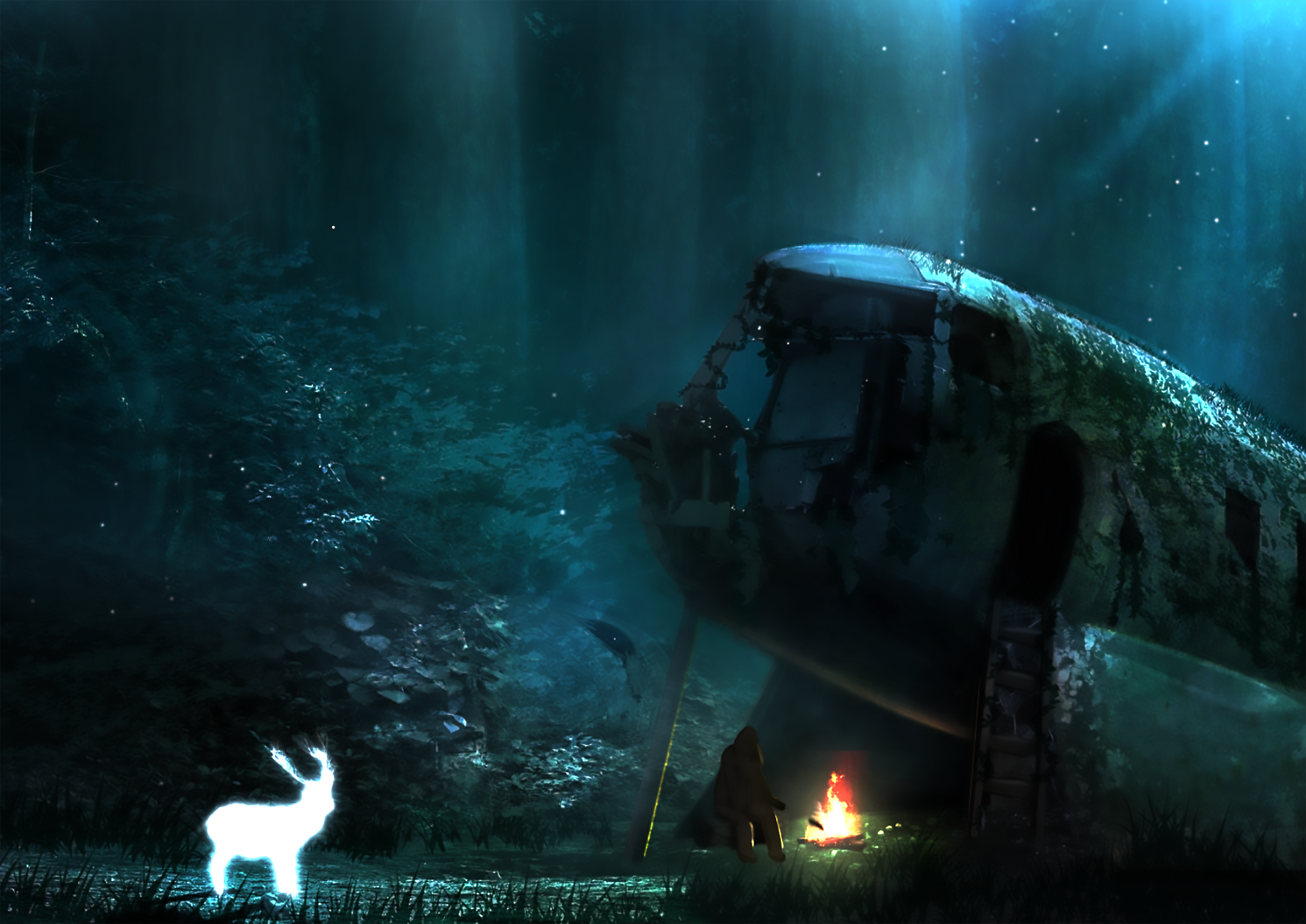 Animal Campfire Deer Light Night Spirit 1920x1358