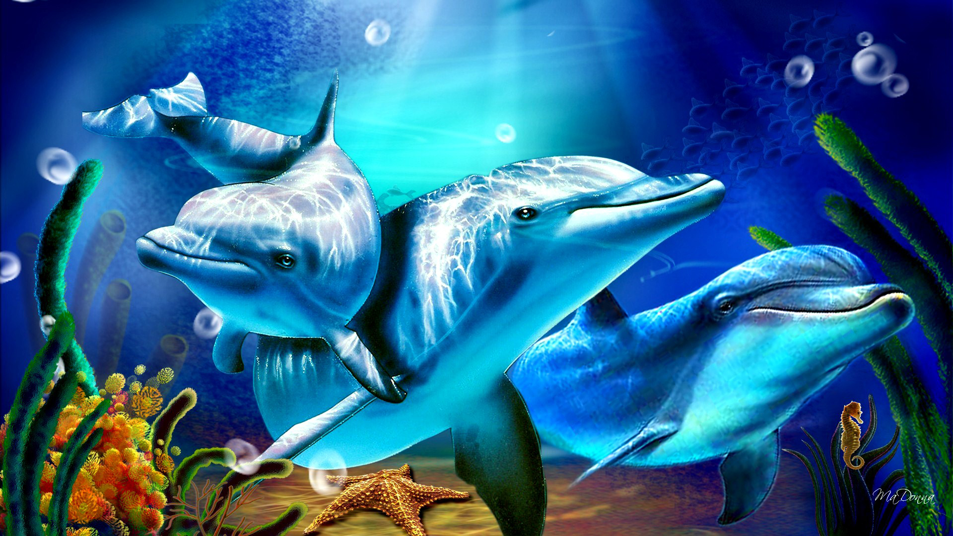 Artistic Bubble Digital Art Dolphin Seahorse Starfish 1920x1080