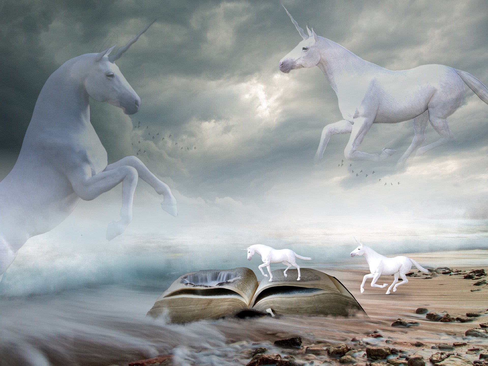 Beach Book Horse Unicorn 1920x1440
