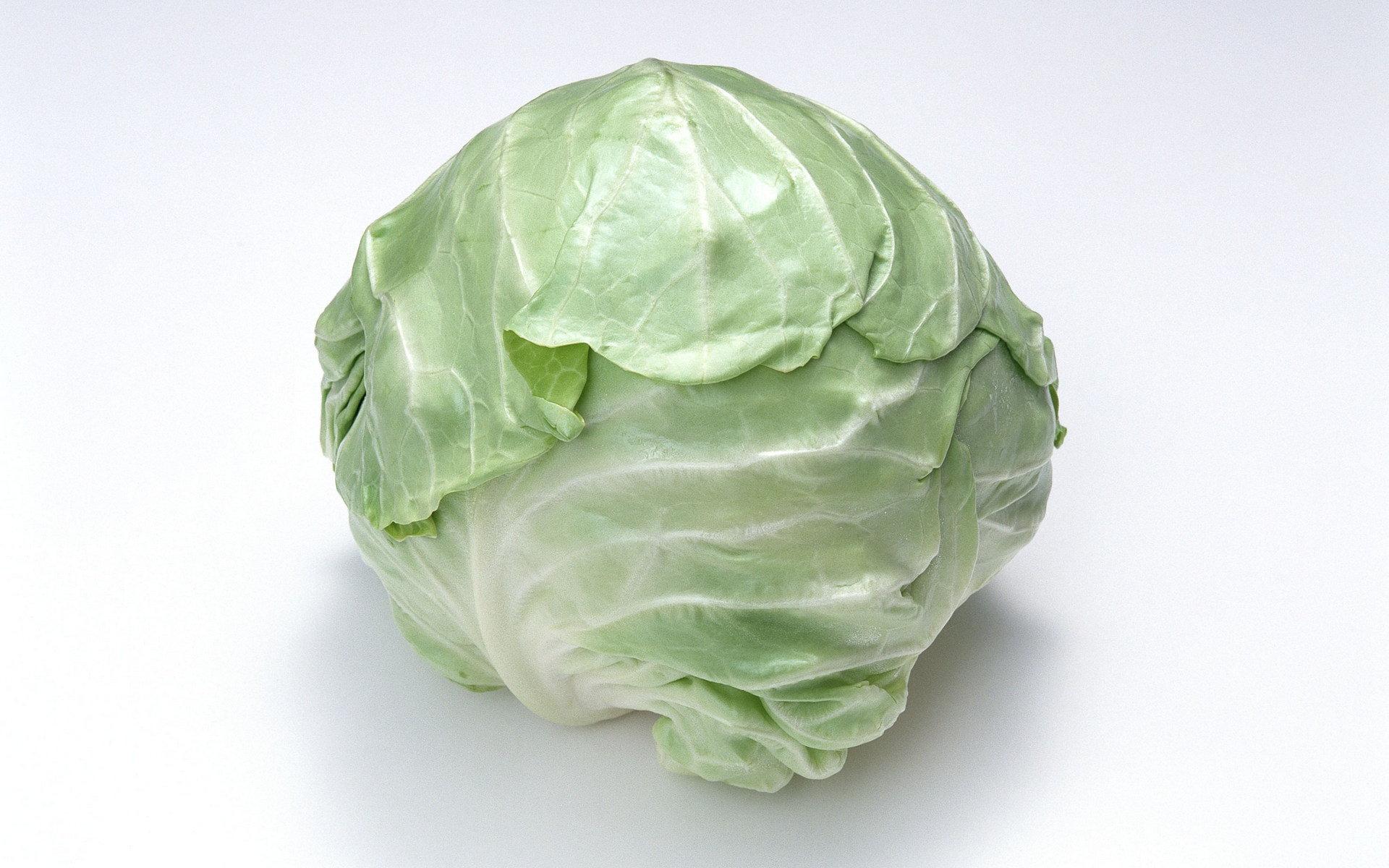 Food Cabbage 1920x1200