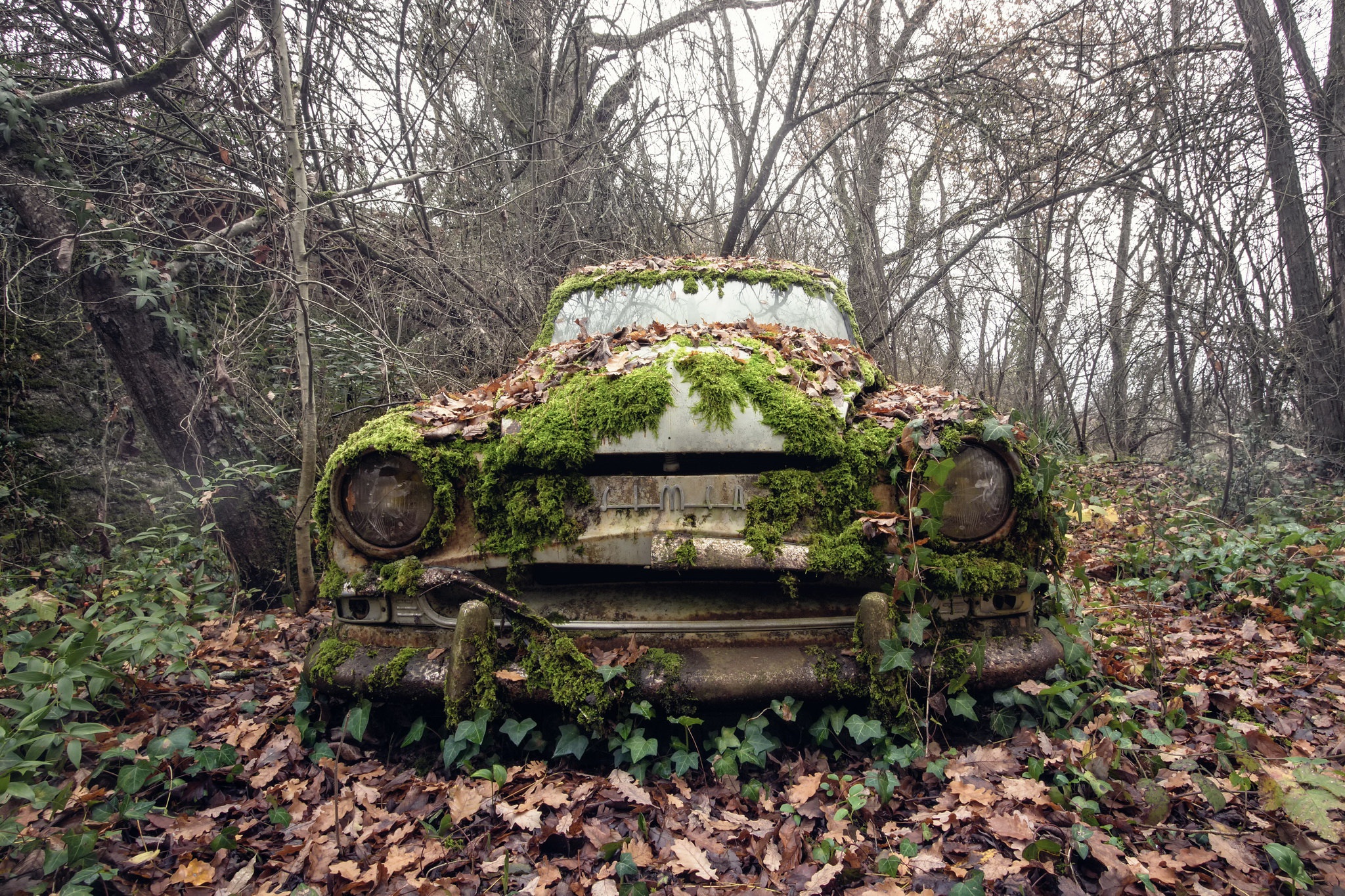 Outdoors Car Vehicle Wreck Plants 2048x1365