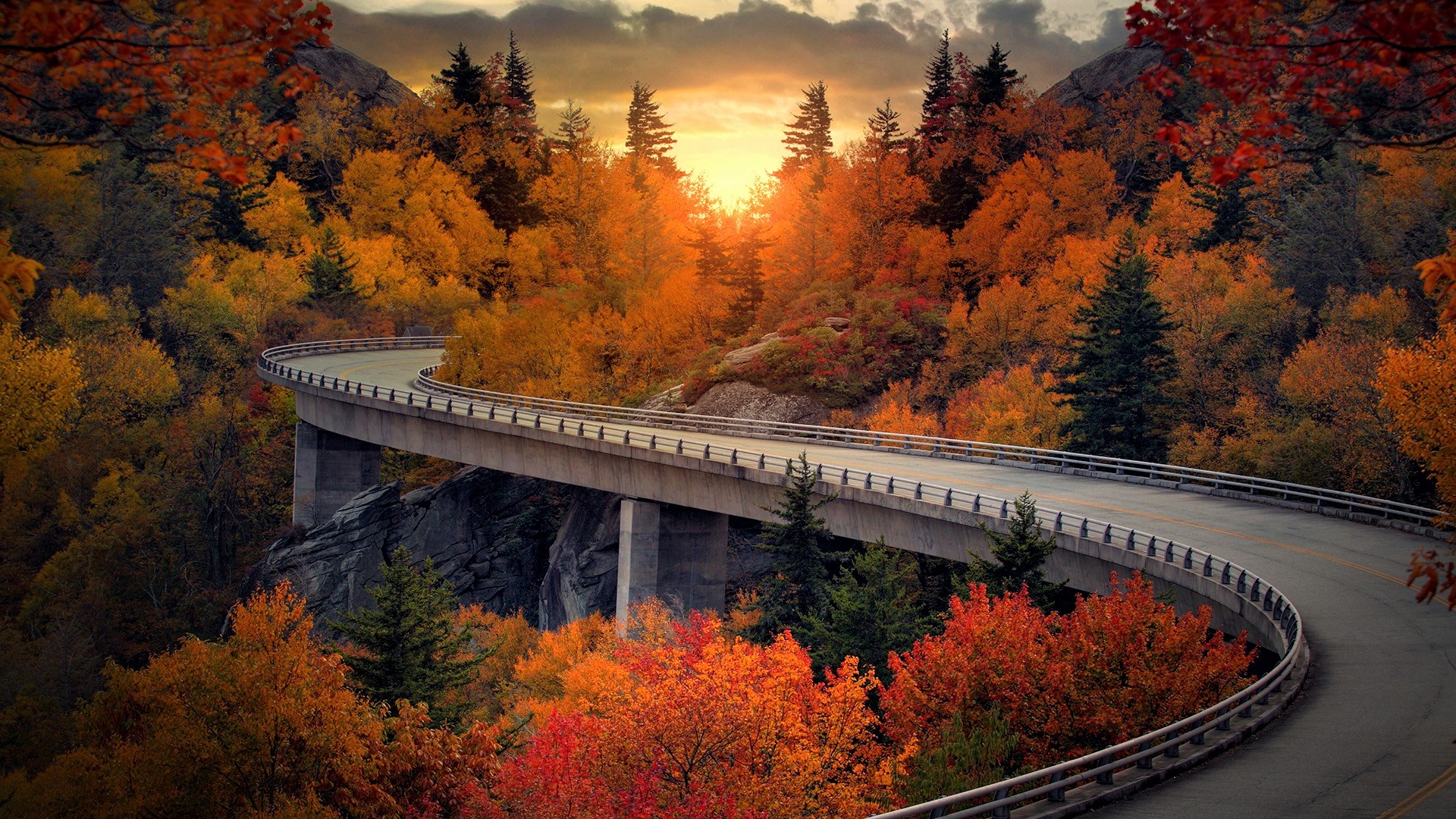 Fall Foliage Forest Road Tree Viaduct 1920x1080