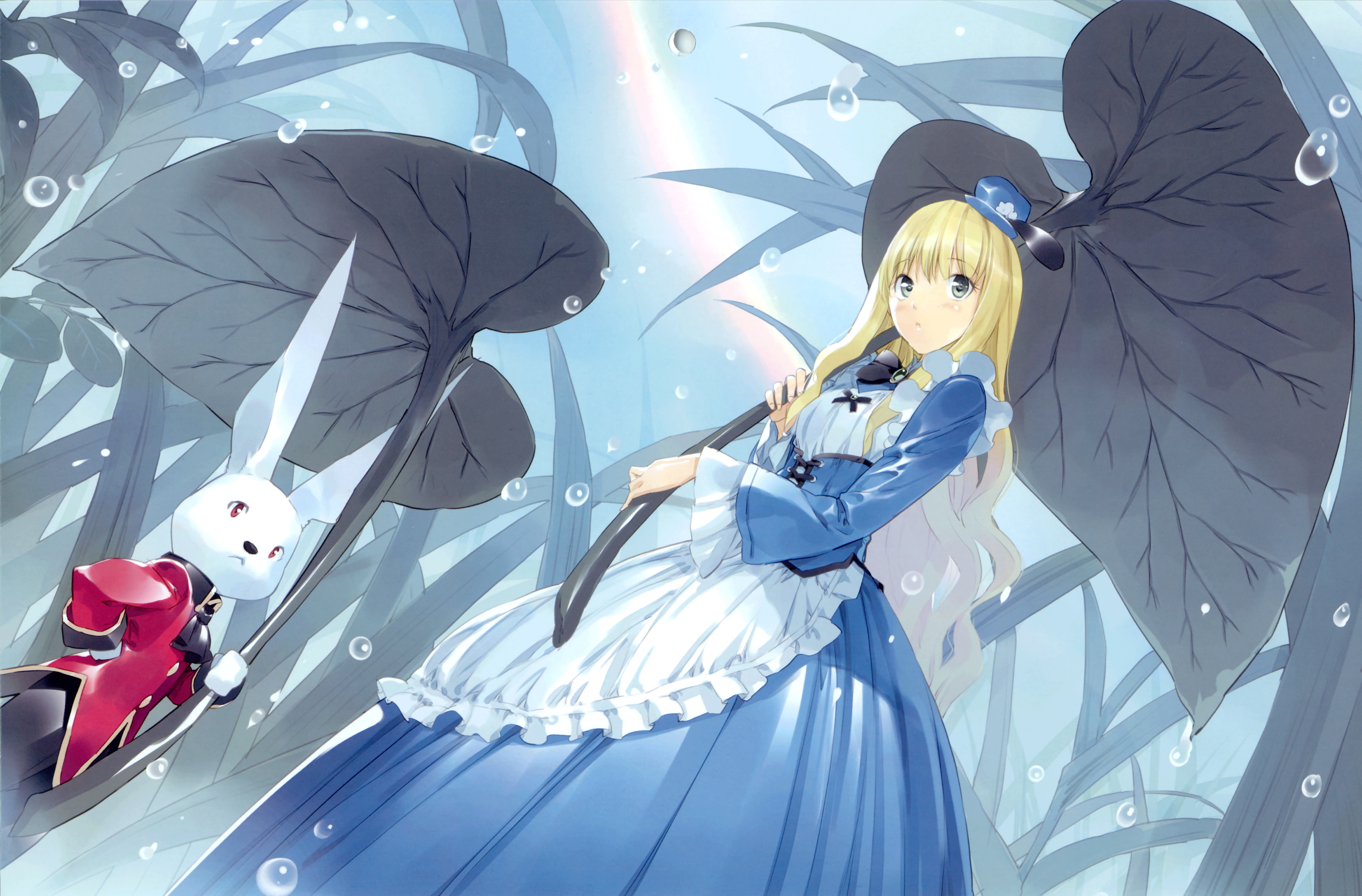 Alice Alice In Wonderland White Rabbit Alice In Wonderland 3502x2305