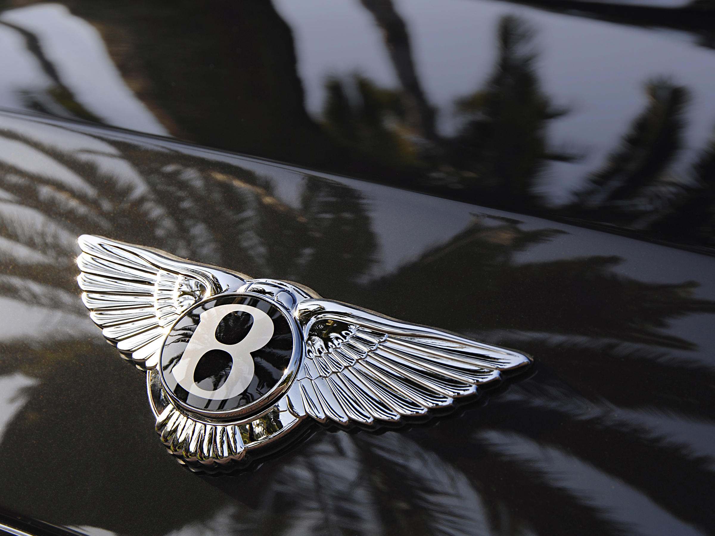 Vehicles Bentley 2400x1800