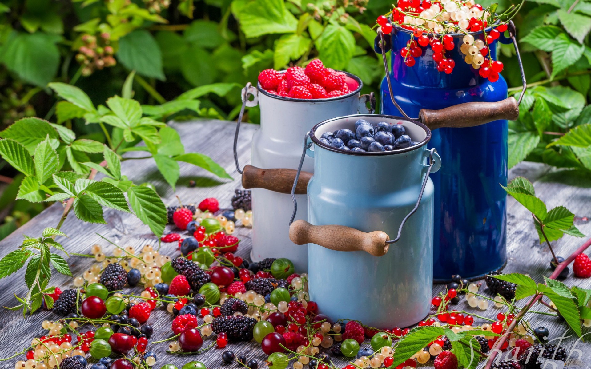 Berry Blueberry Currants Fruit Raspberry Still Life 1920x1200