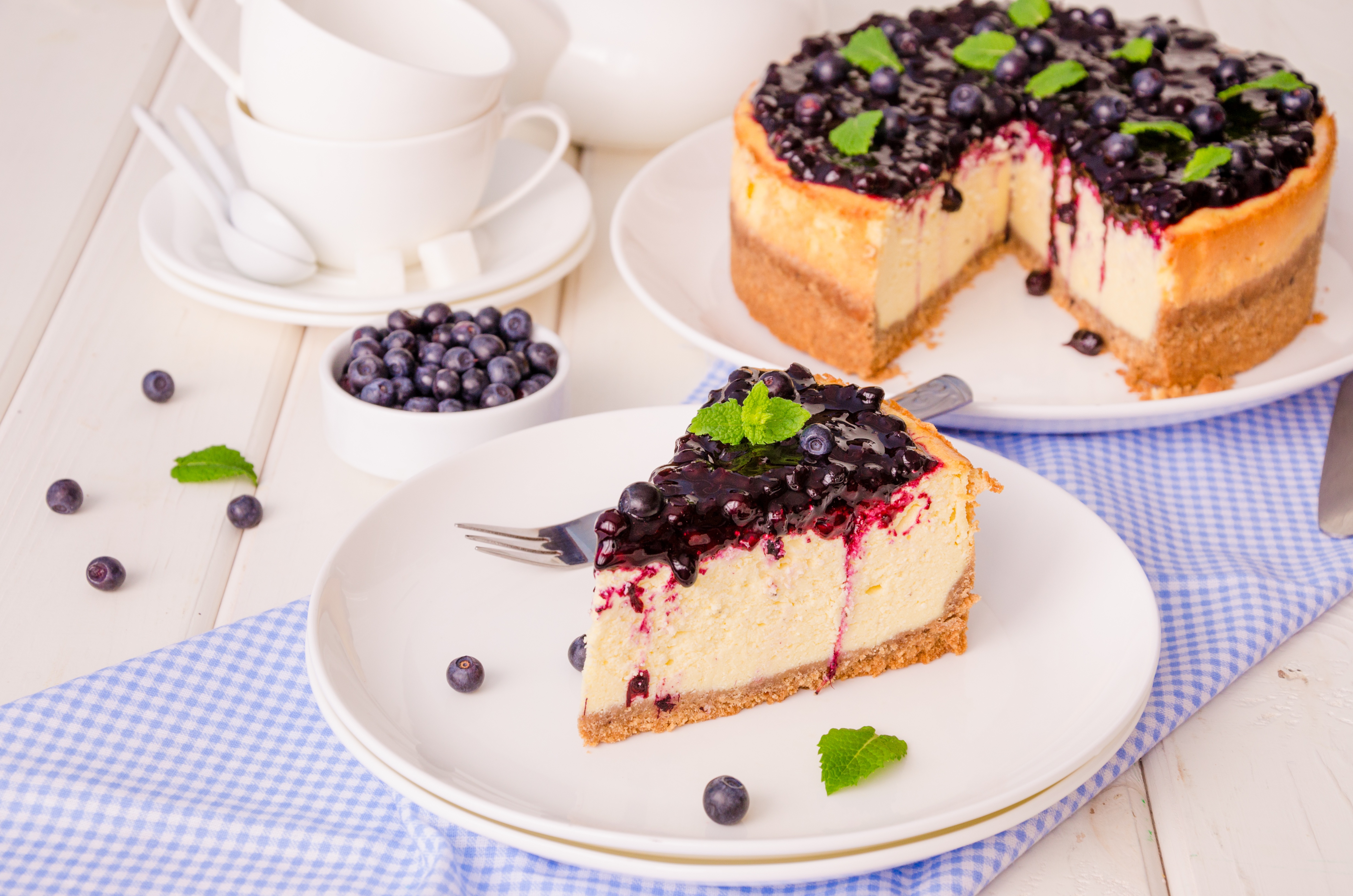 Berry Blueberry Cheesecake Dessert Fruit Still Life 4928x3264