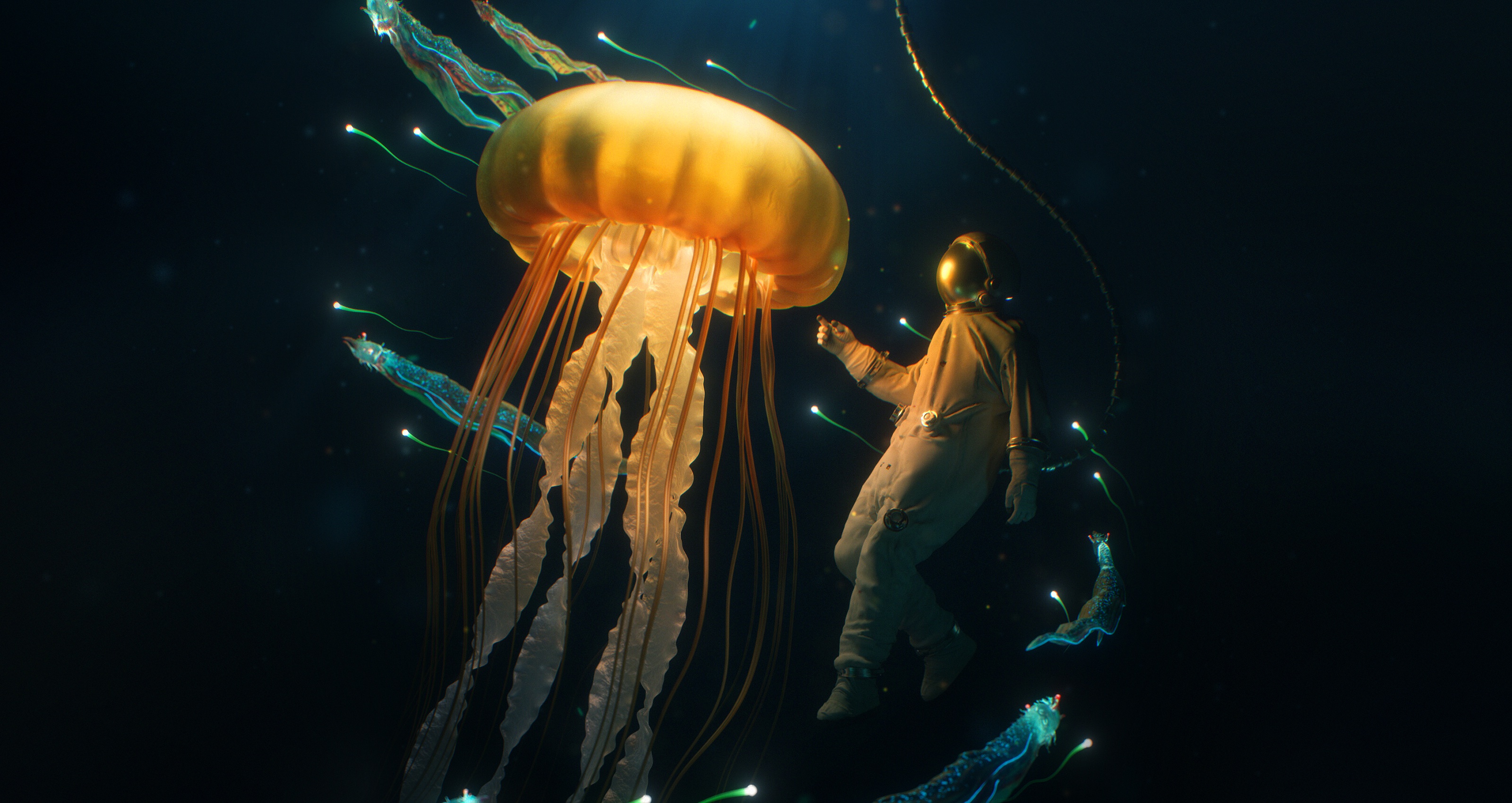 Diver Jellyfish Underwater 3200x1700